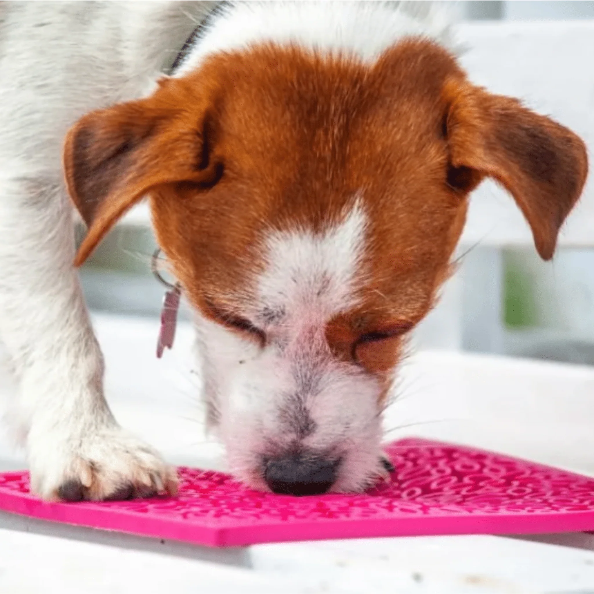 Lick Mats for Cats and Small Dogs - Image 21