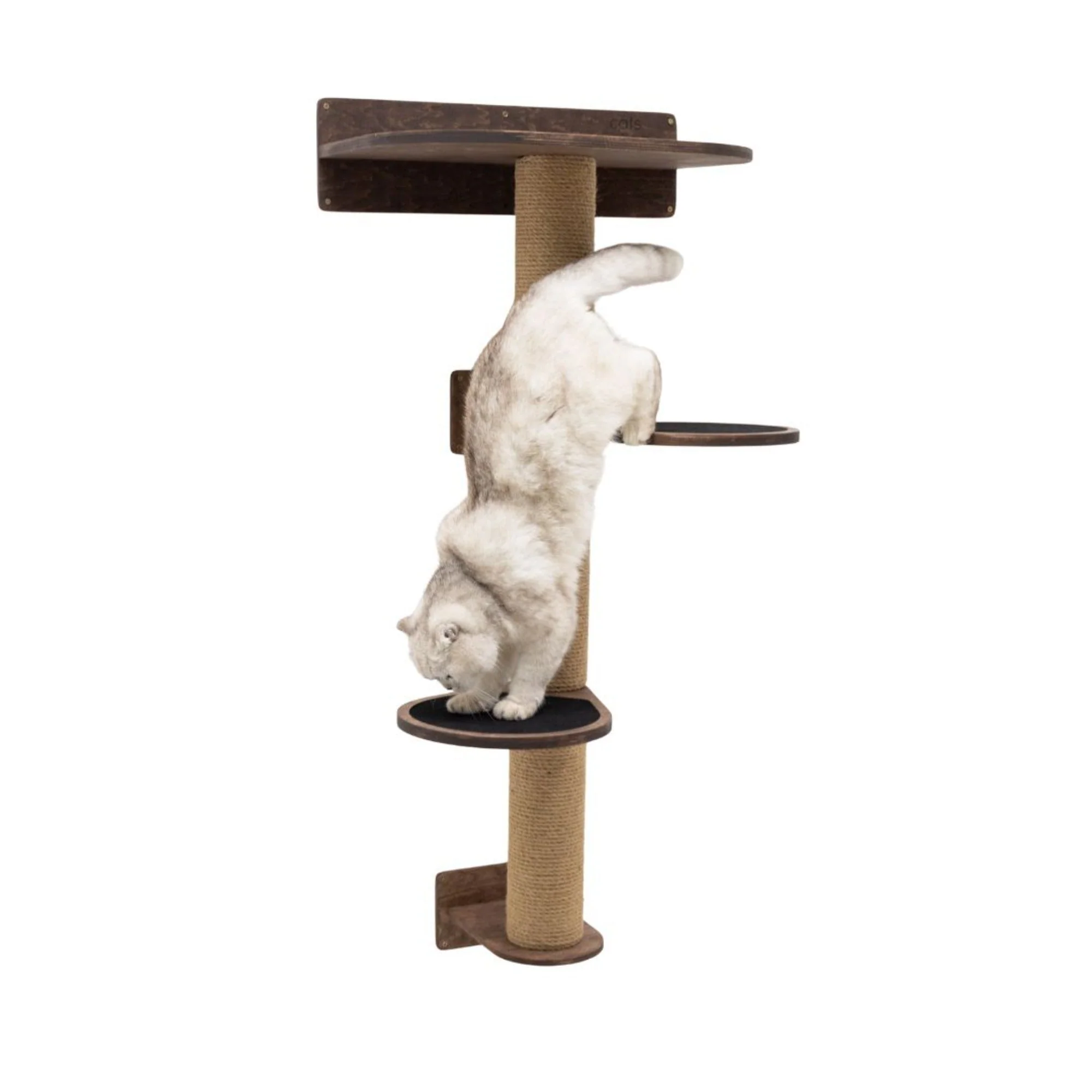 Medium Cat Tree – Dark Walnut - Image 3