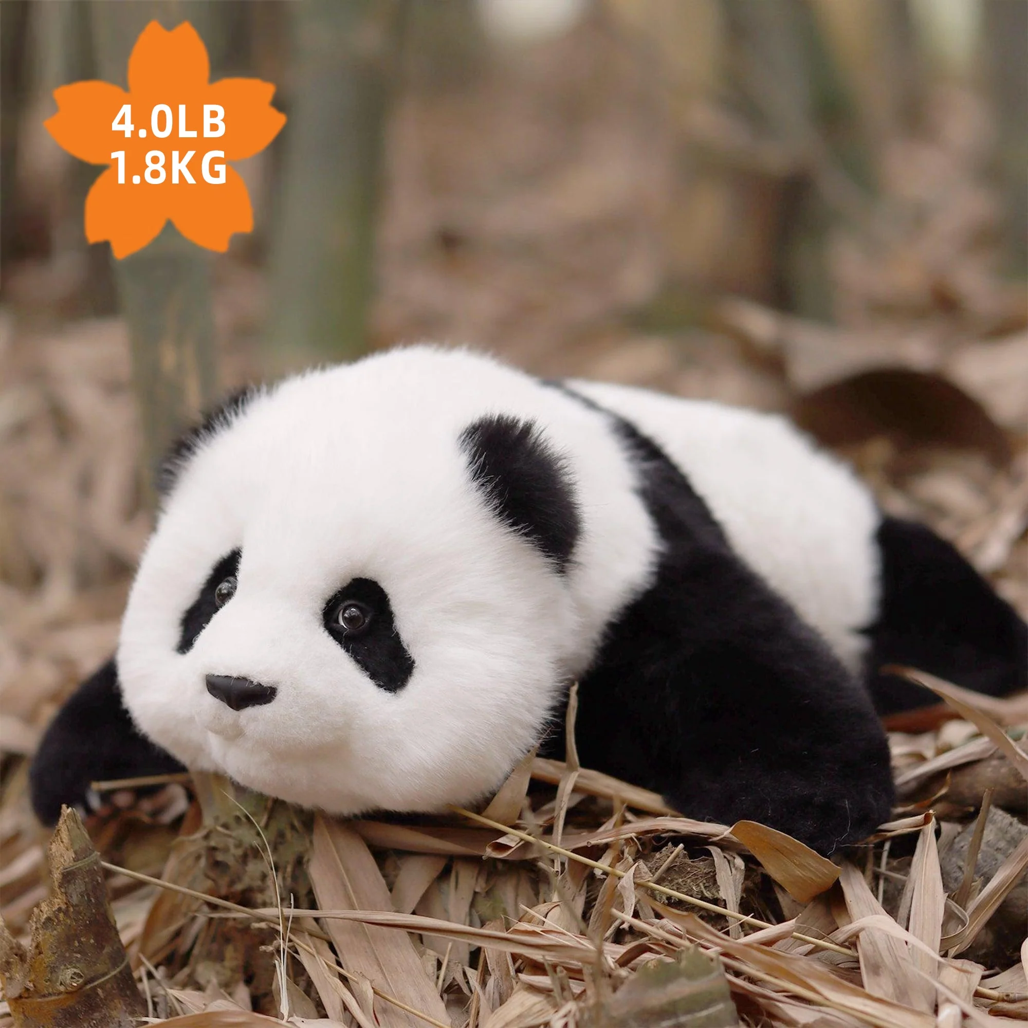 Menglan Panda Weighted – Ultra Realistic Collectible Toy - Image 2