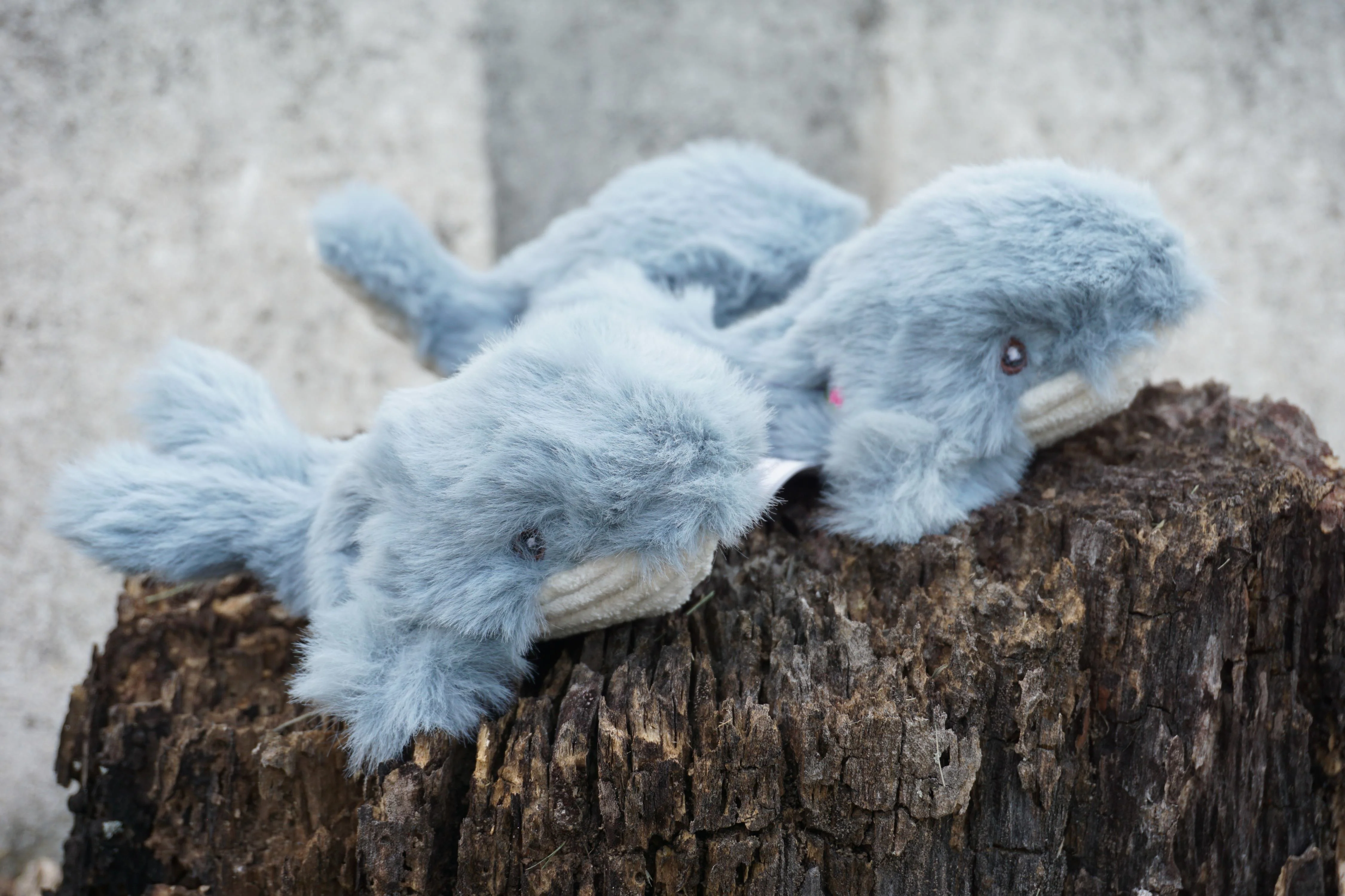 Mobie Whale Wee Huggles® Plush Dog Toys, 3 Pack - Image 5