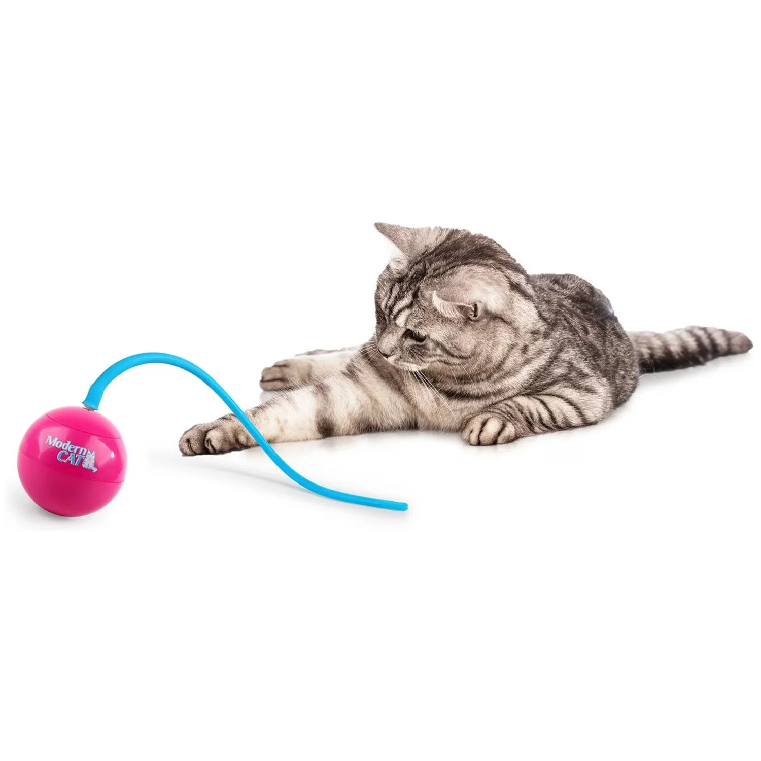 Modern Cat - Whirling tail Cat Toy - Image 7
