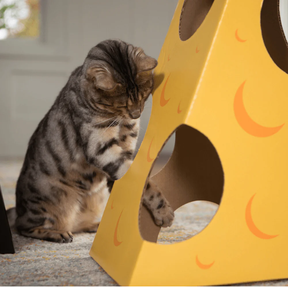 Monster Cheese Wedge Cardboard Cat House - Image 2