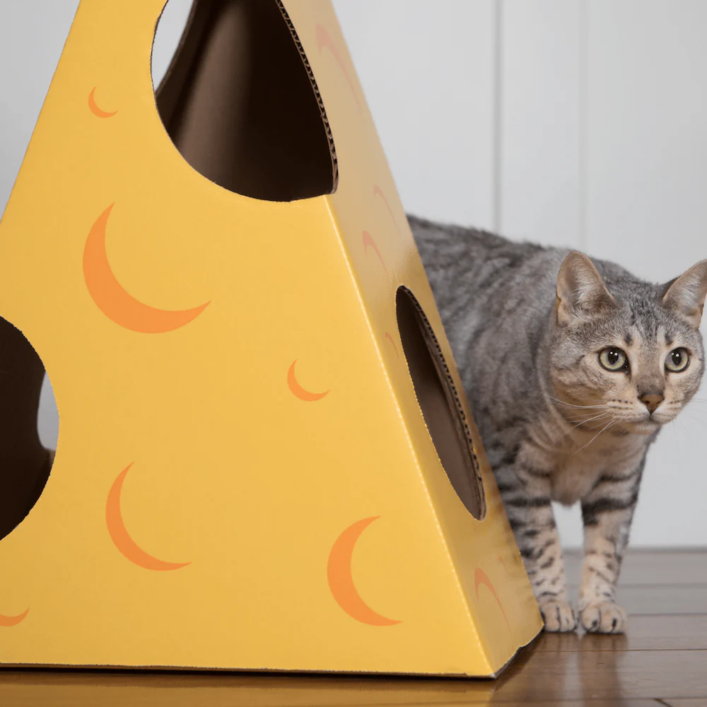 Monster Cheese Wedge Cardboard Cat House - Image 3