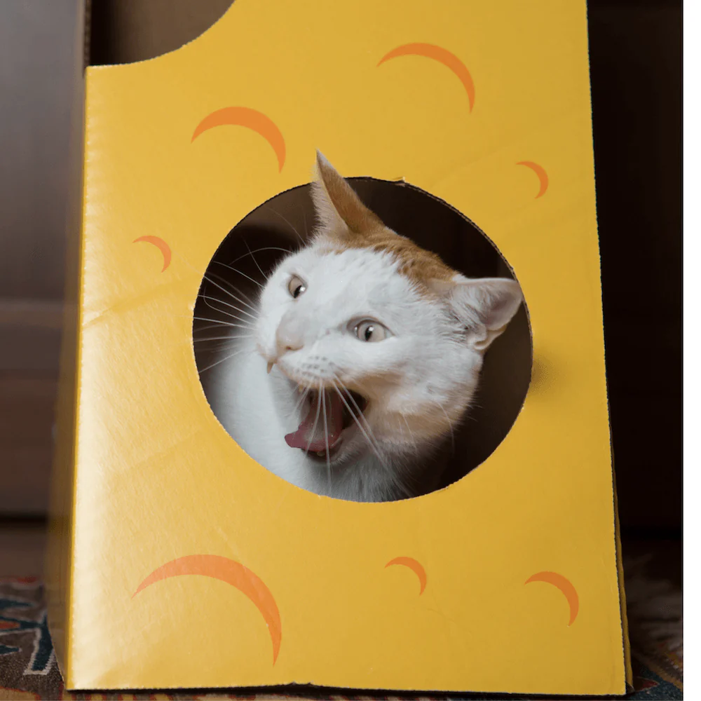 Monster Cheese Wedge Cardboard Cat House - Image 4