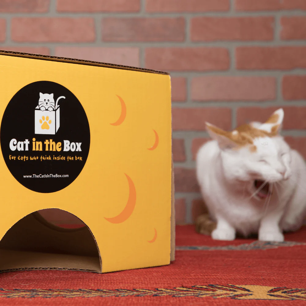 Monster Cheese Wedge Cardboard Cat House - Image 5