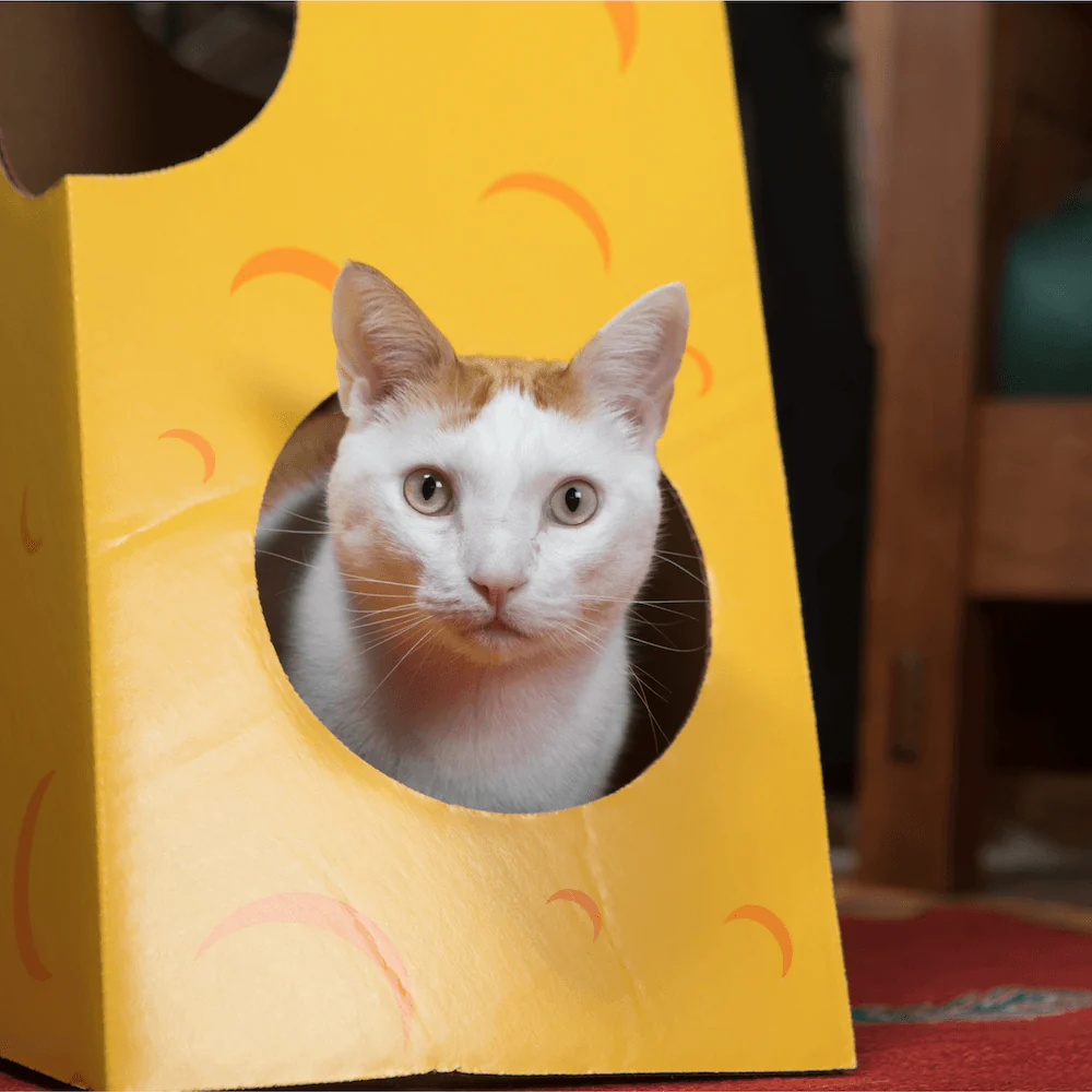 Monster Cheese Wedge Cardboard Cat House - Image 7