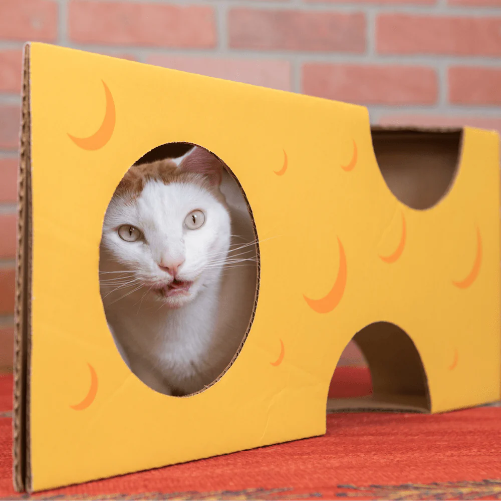 Monster Cheese Wedge Cardboard Cat House - Image 8