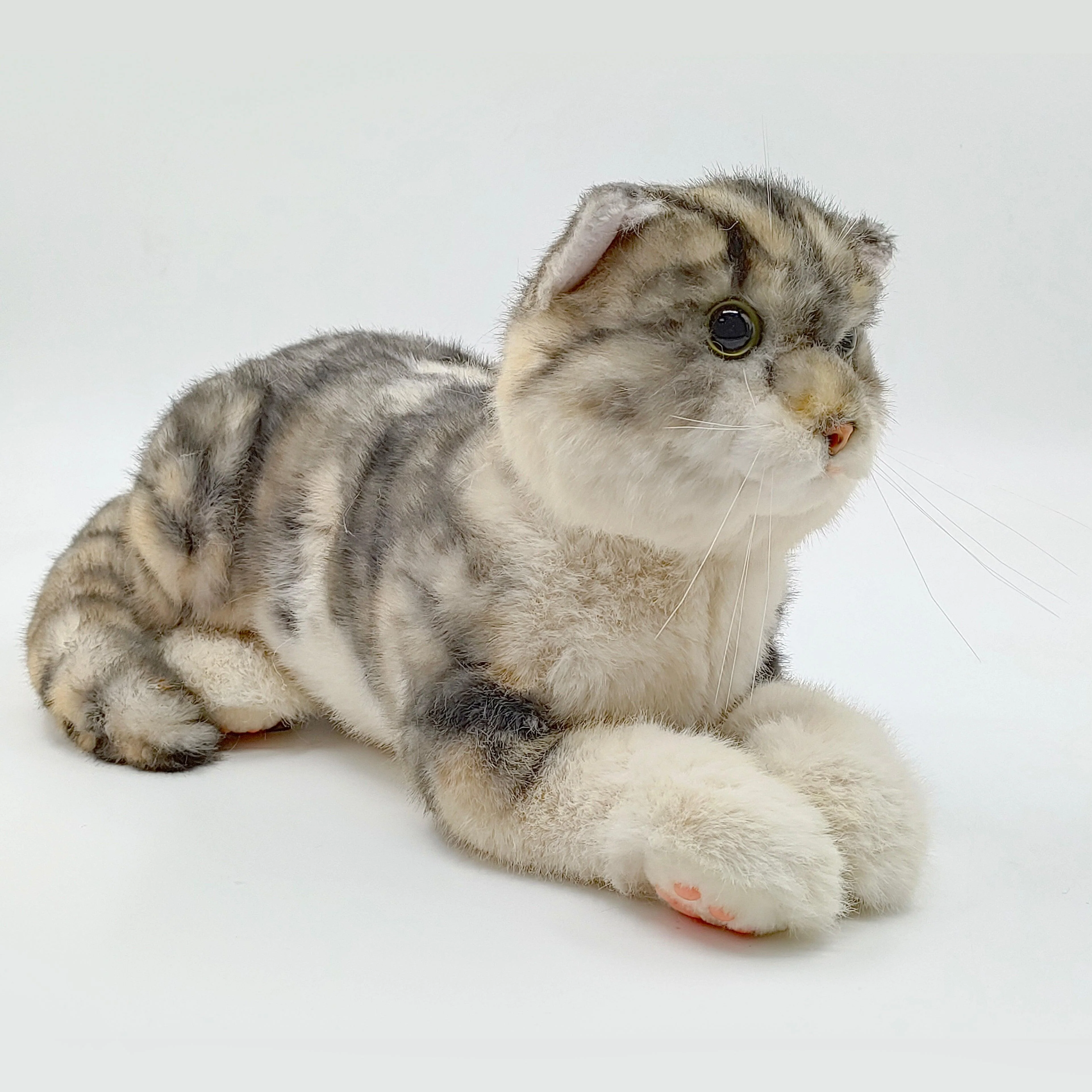 NO.13 Tappy Cat Order to Make - Image 2