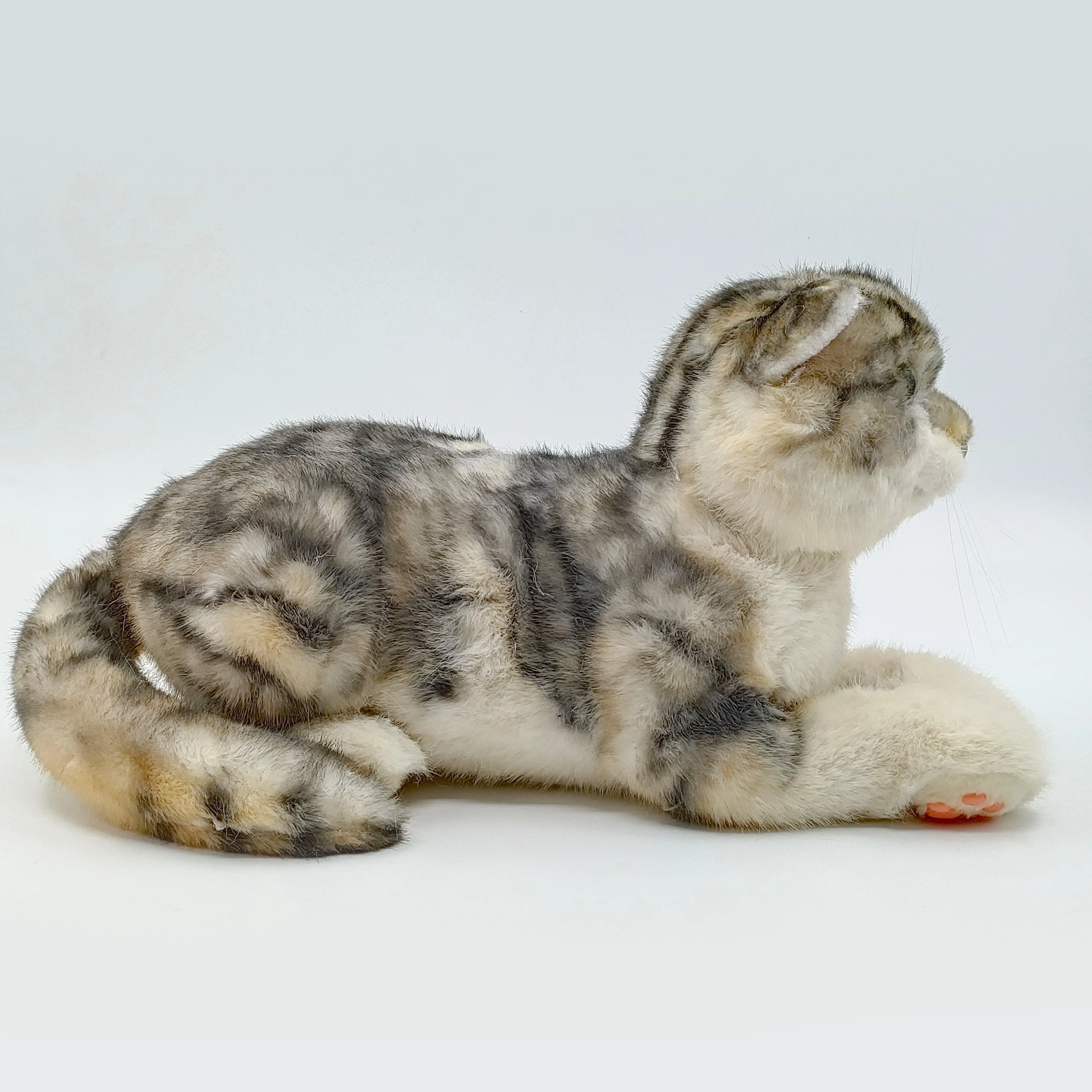 NO.13 Tappy Cat Order to Make - Image 3