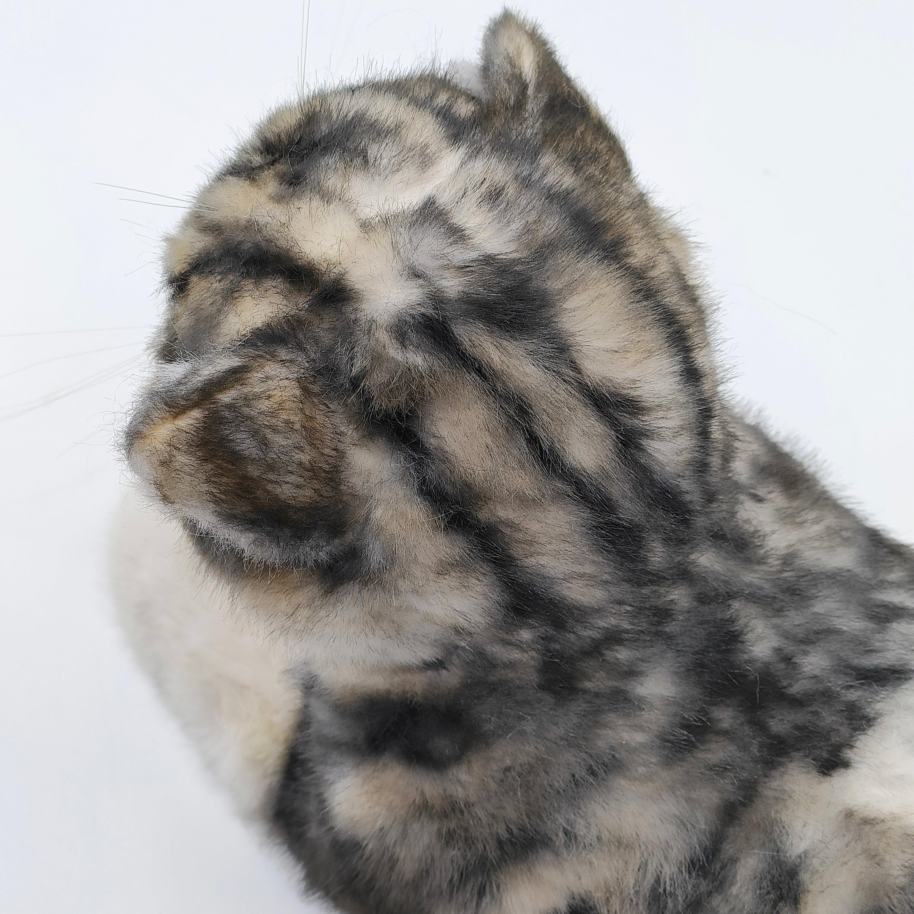 NO.13 Tappy Cat Order to Make - Image 4