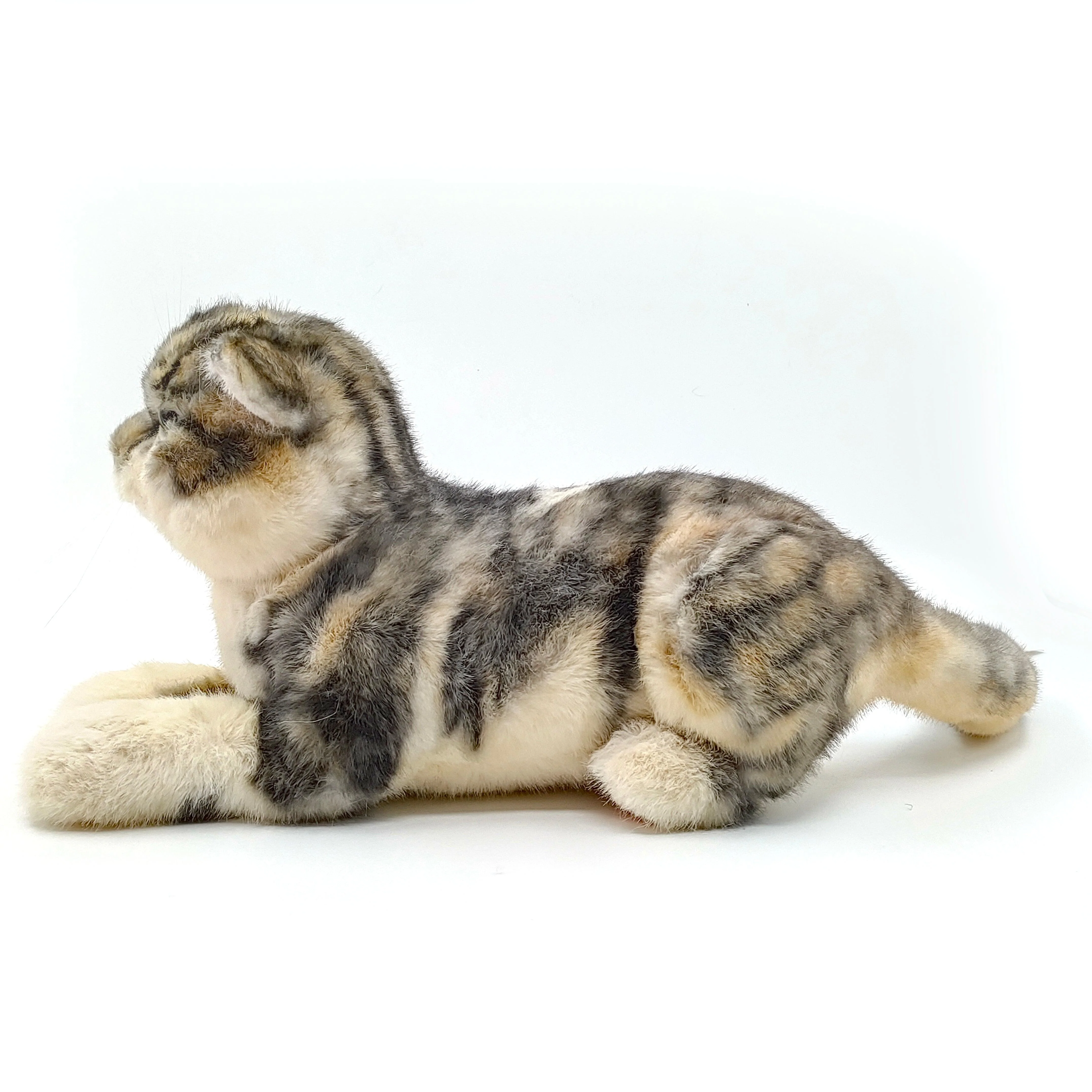 NO.13 Tappy Cat Order to Make - Image 5