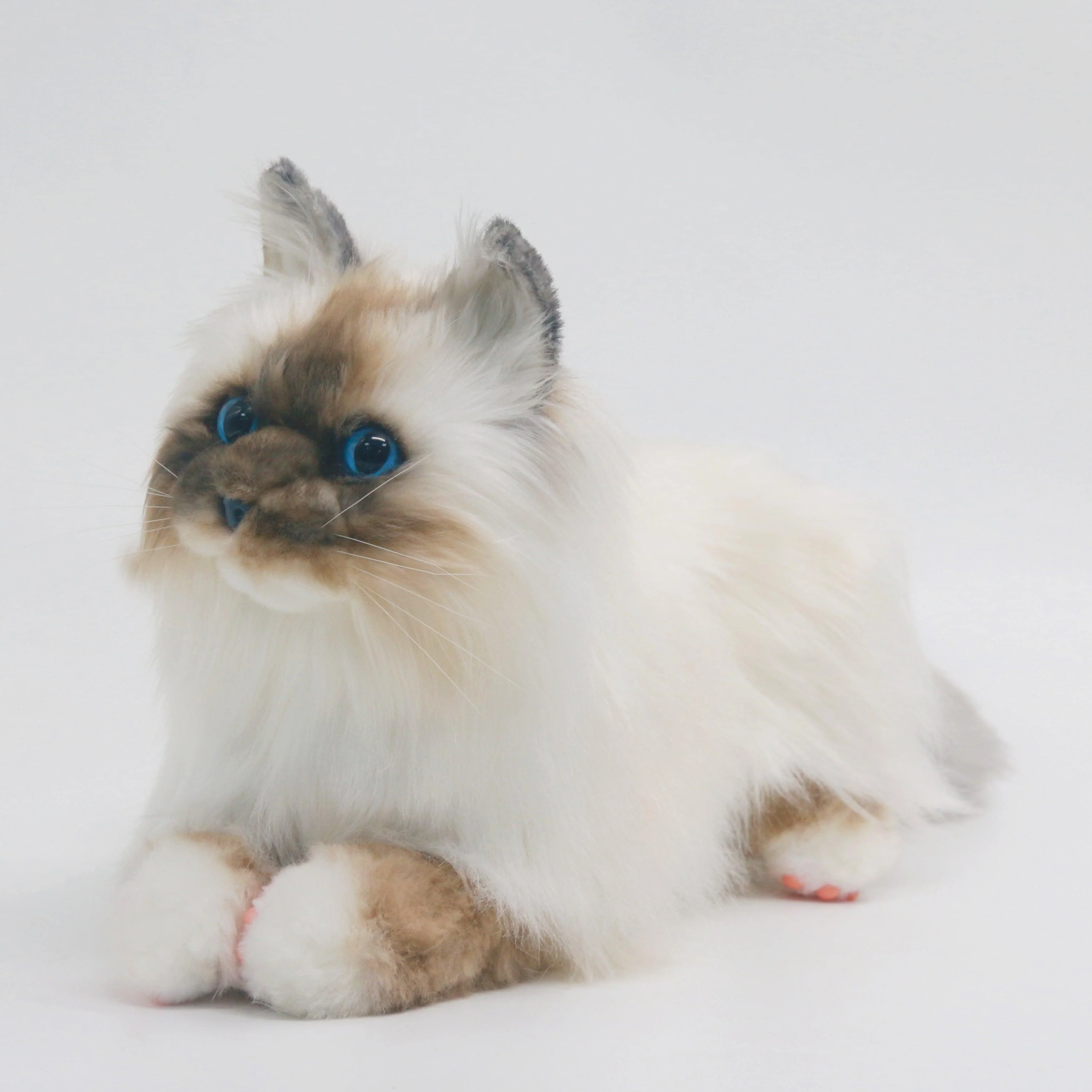 NO.9 Brown Hair Cat with Blue Eyes Order to Make