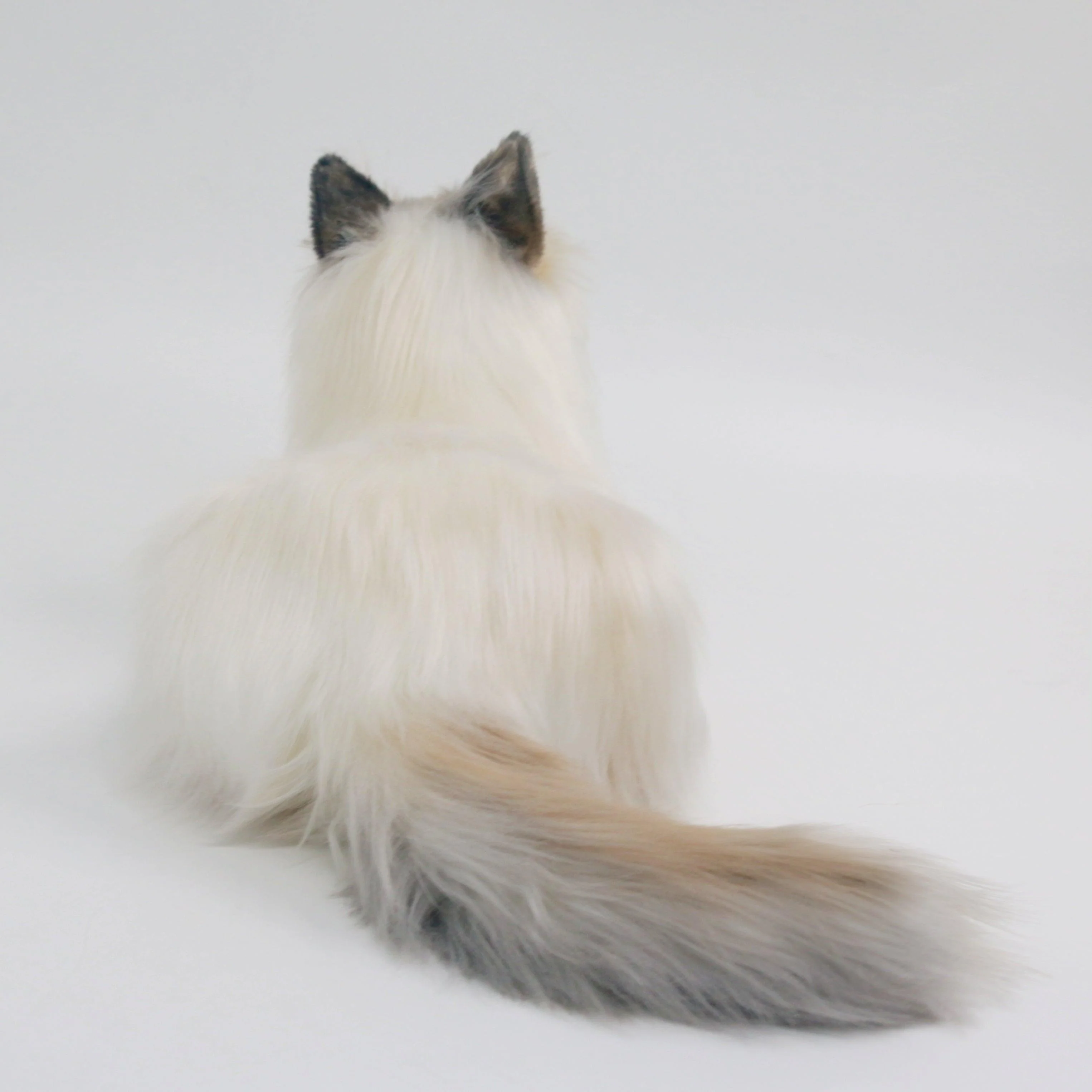 NO.9 Brown Hair Cat with Blue Eyes Order to Make - Image 4