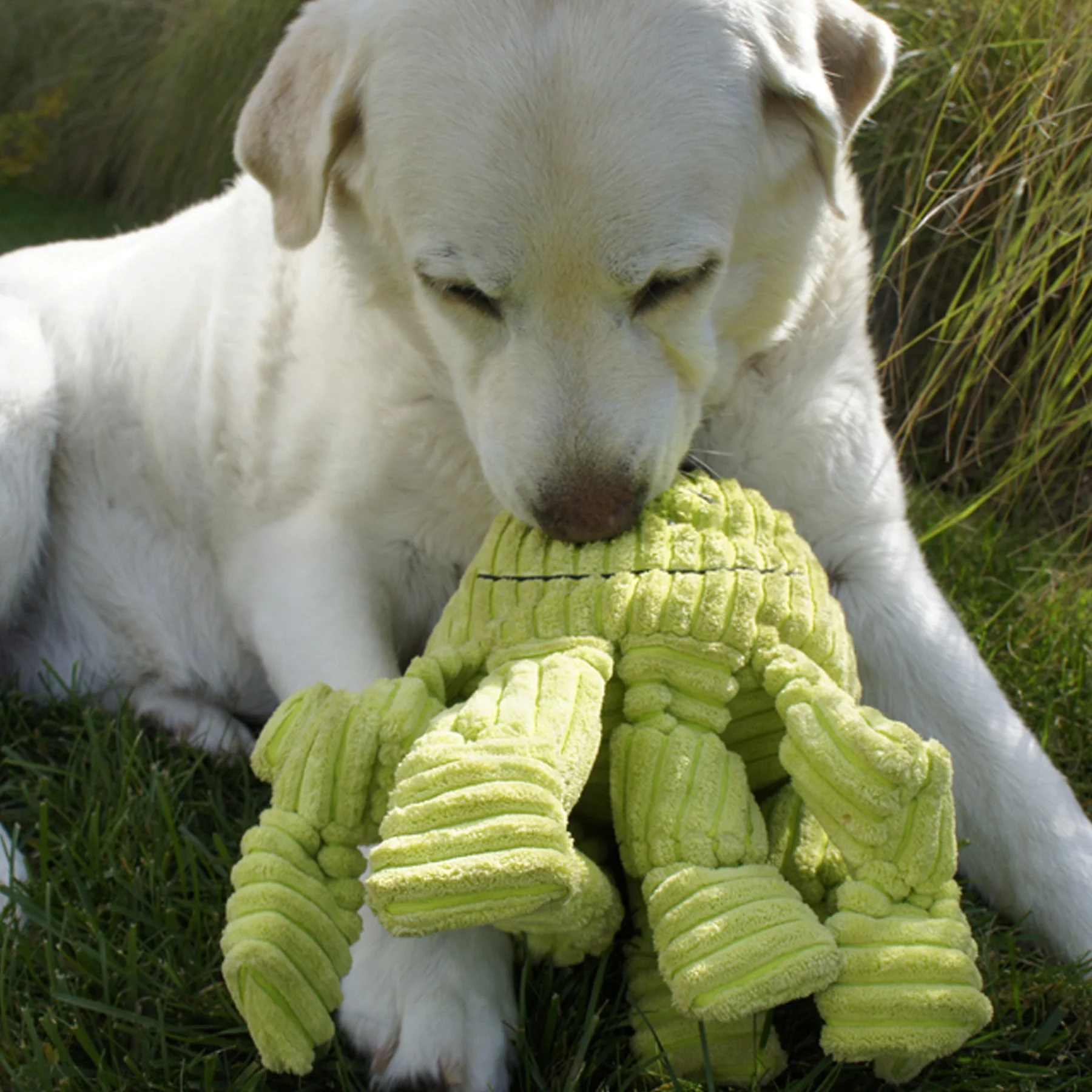 Octavie Octopus Knottie® Plush Dog Toy - Image 9