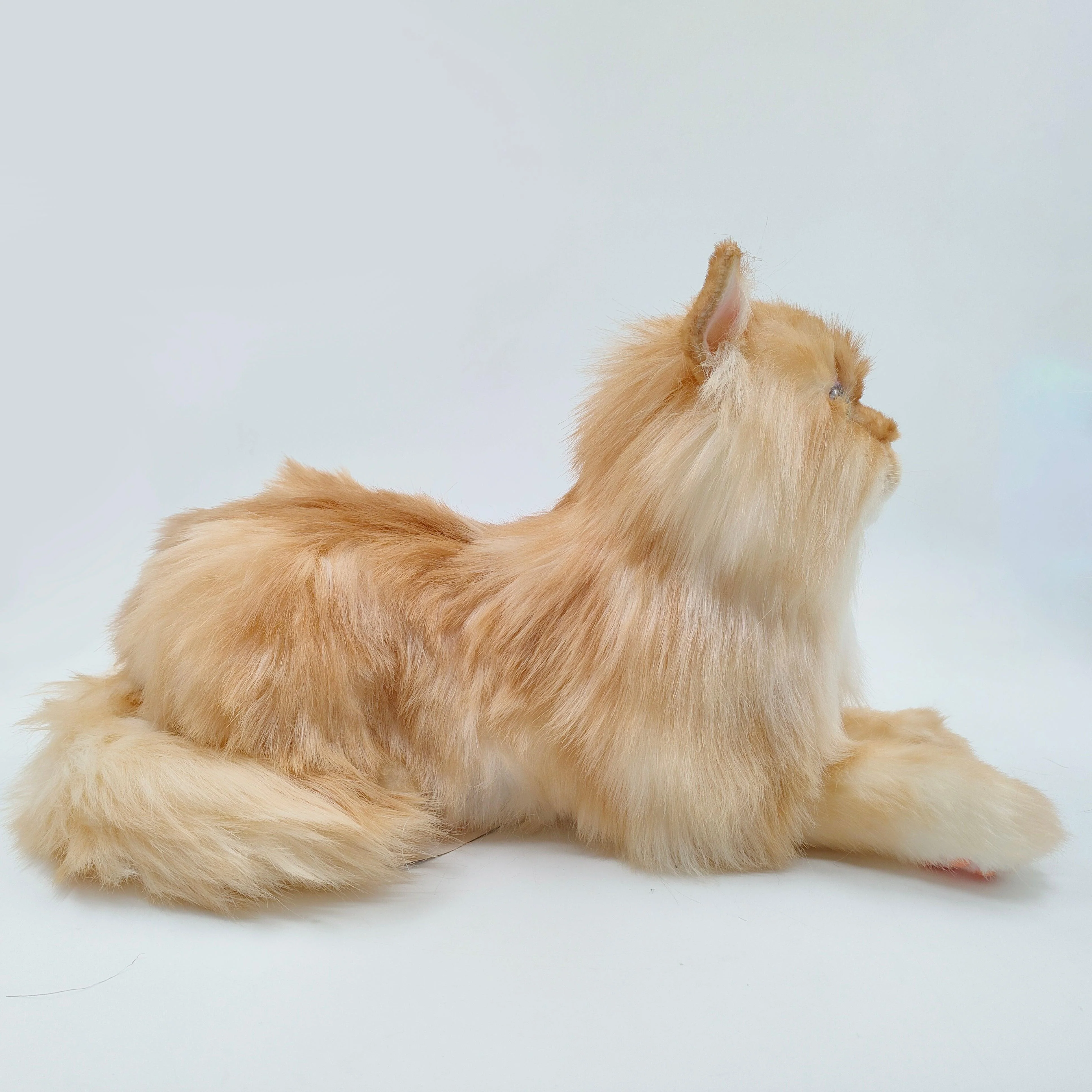 Orange Cat MADE-TO-ORDER - Image 5
