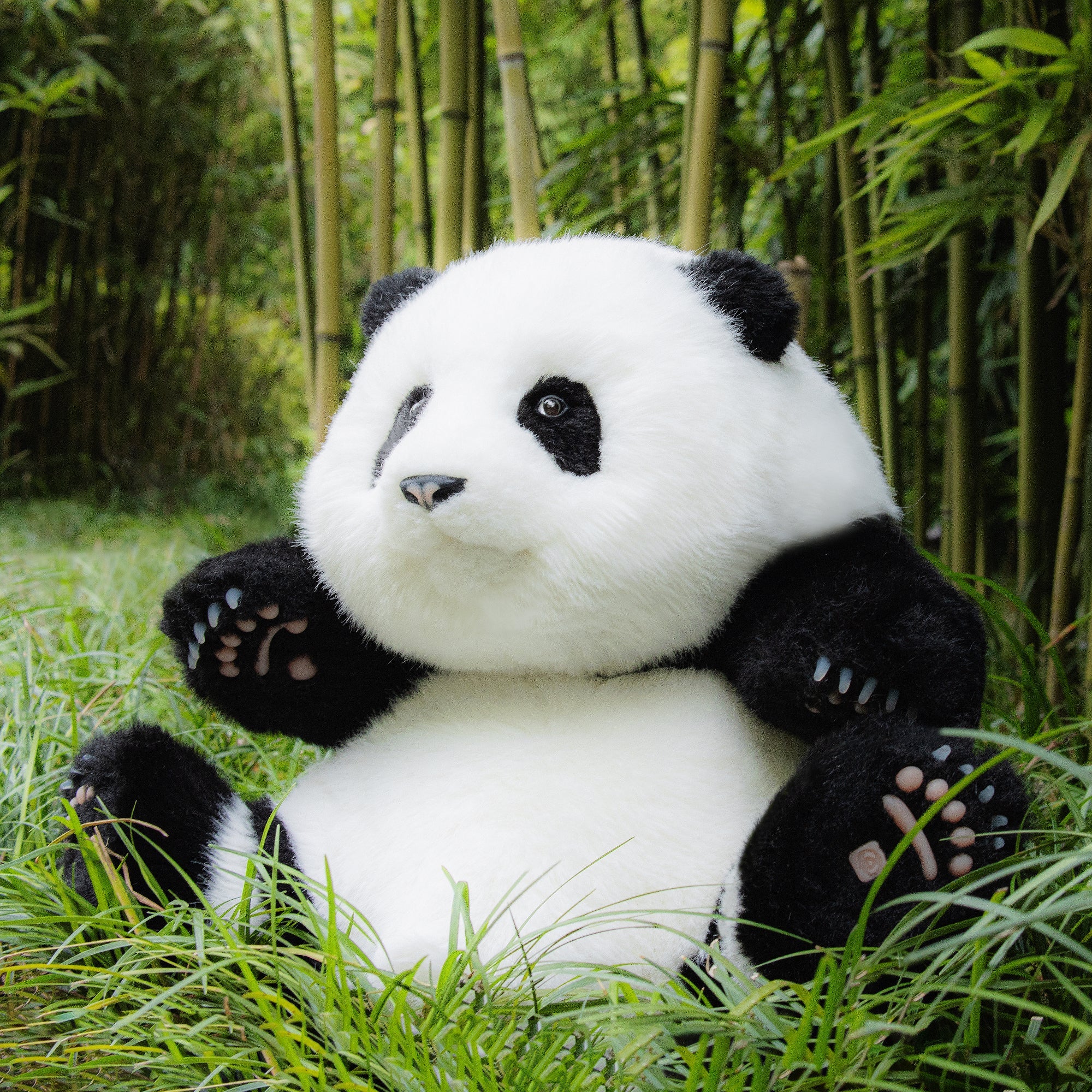 Panda Hehua 4.6lb Plush– Calm Companion Mindful Relax - Image 2