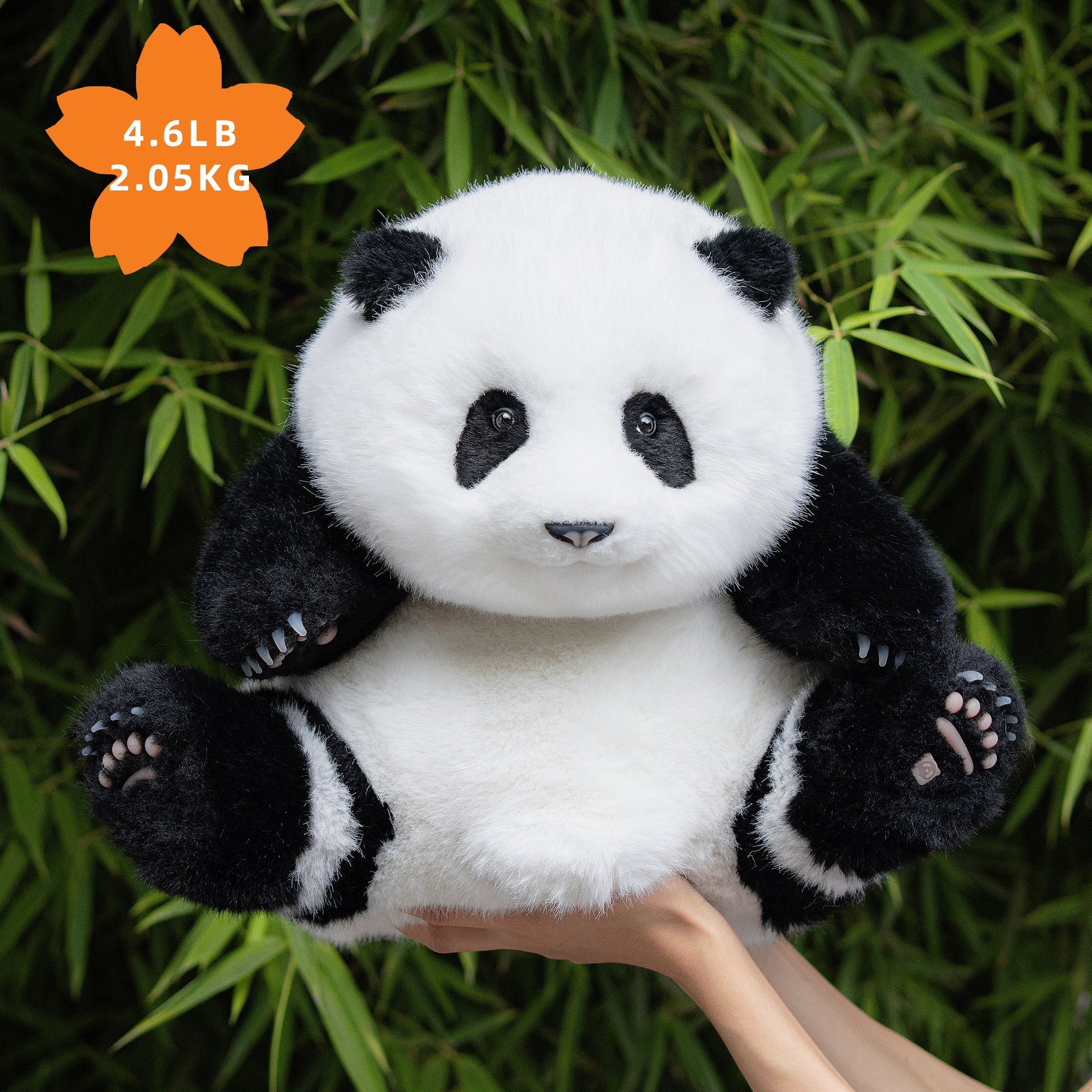 Panda Hehua 4.6lb Plush– Calm Companion Mindful Relax - Image 4