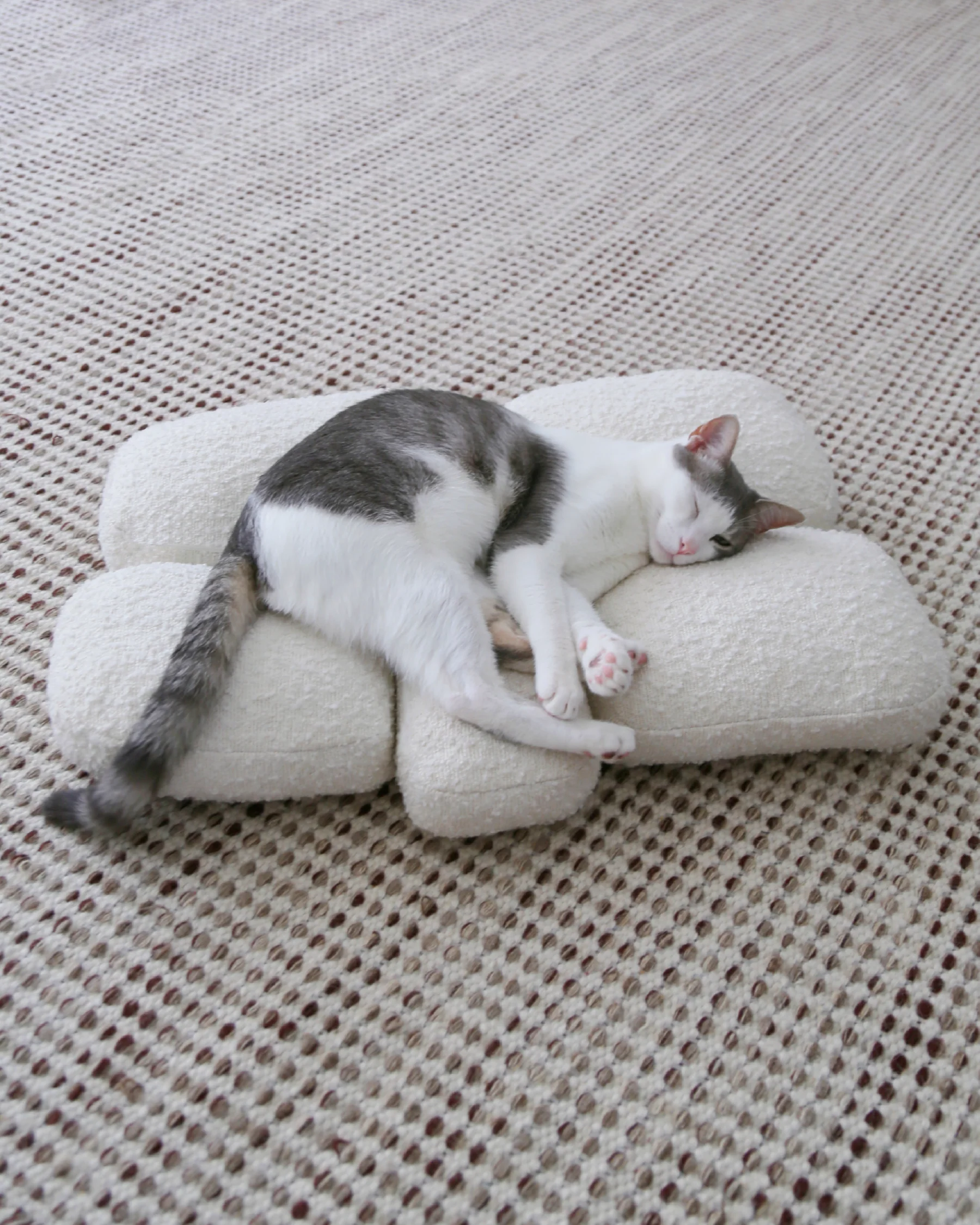 Pebble Bed - Image 4