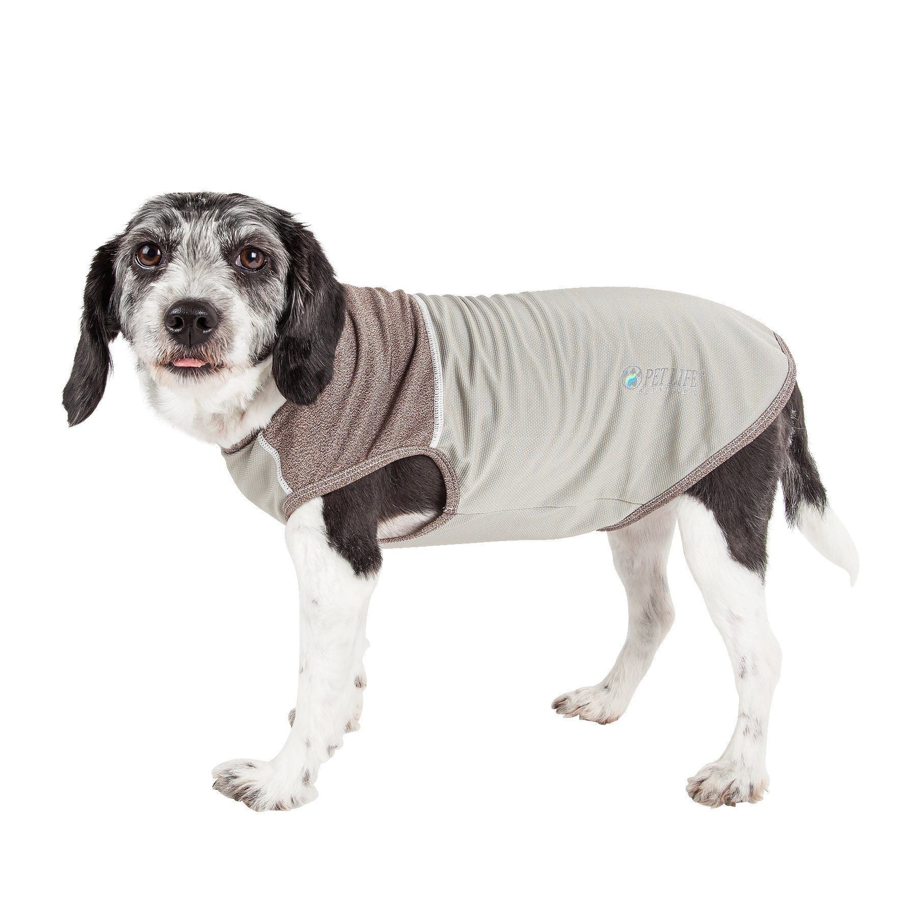Pet Life ® Active 'Aero-Pawlse' Quick-Dry and 4-Way-Stretch Yoga Fitness Dog T-Shirt Tank Top - Image 6