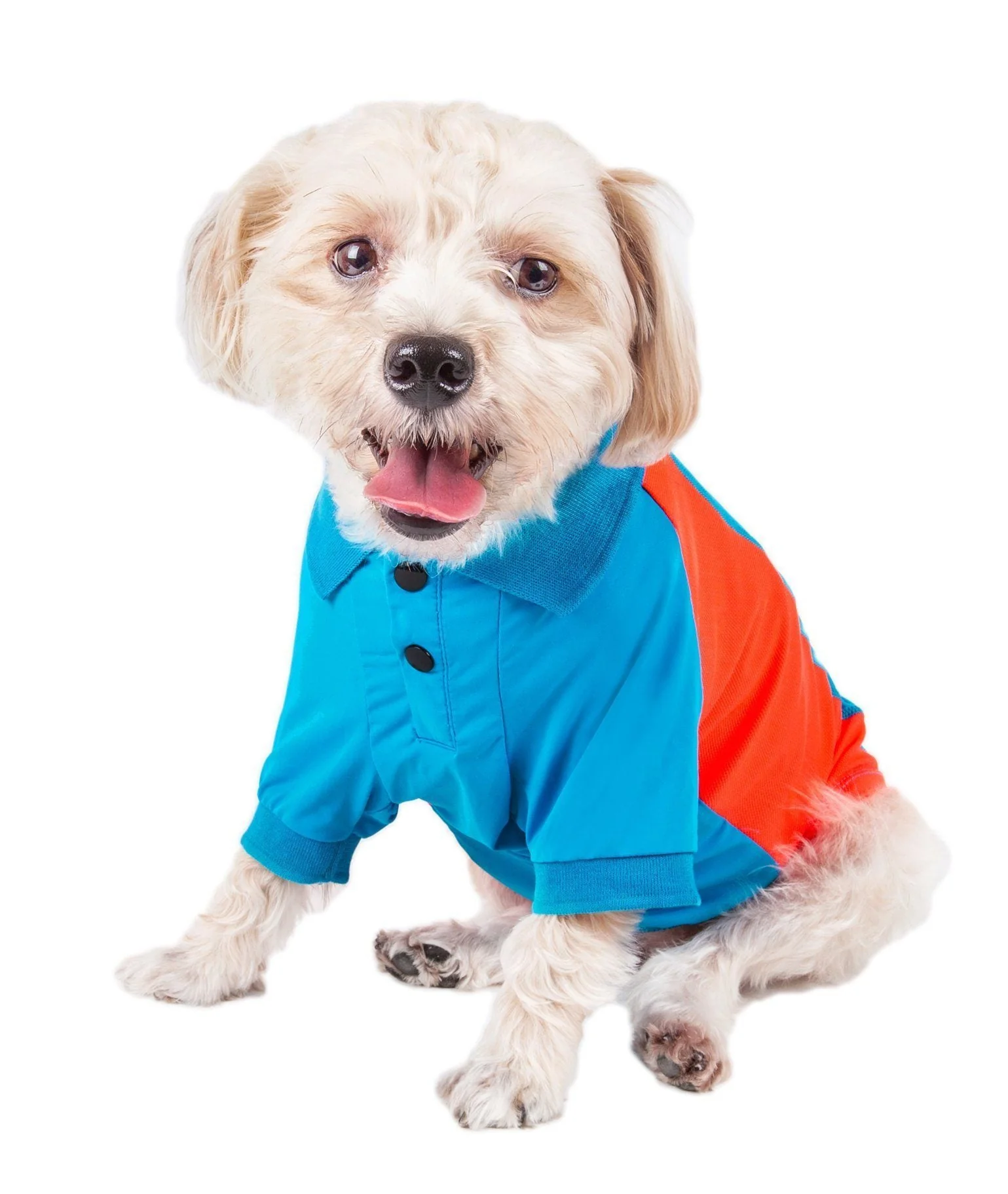 Pet Life ® Active 'Barko Pawlo' Relax-Stretch Quick-Drying Performance Dog Polo T-Shirt - Image 20