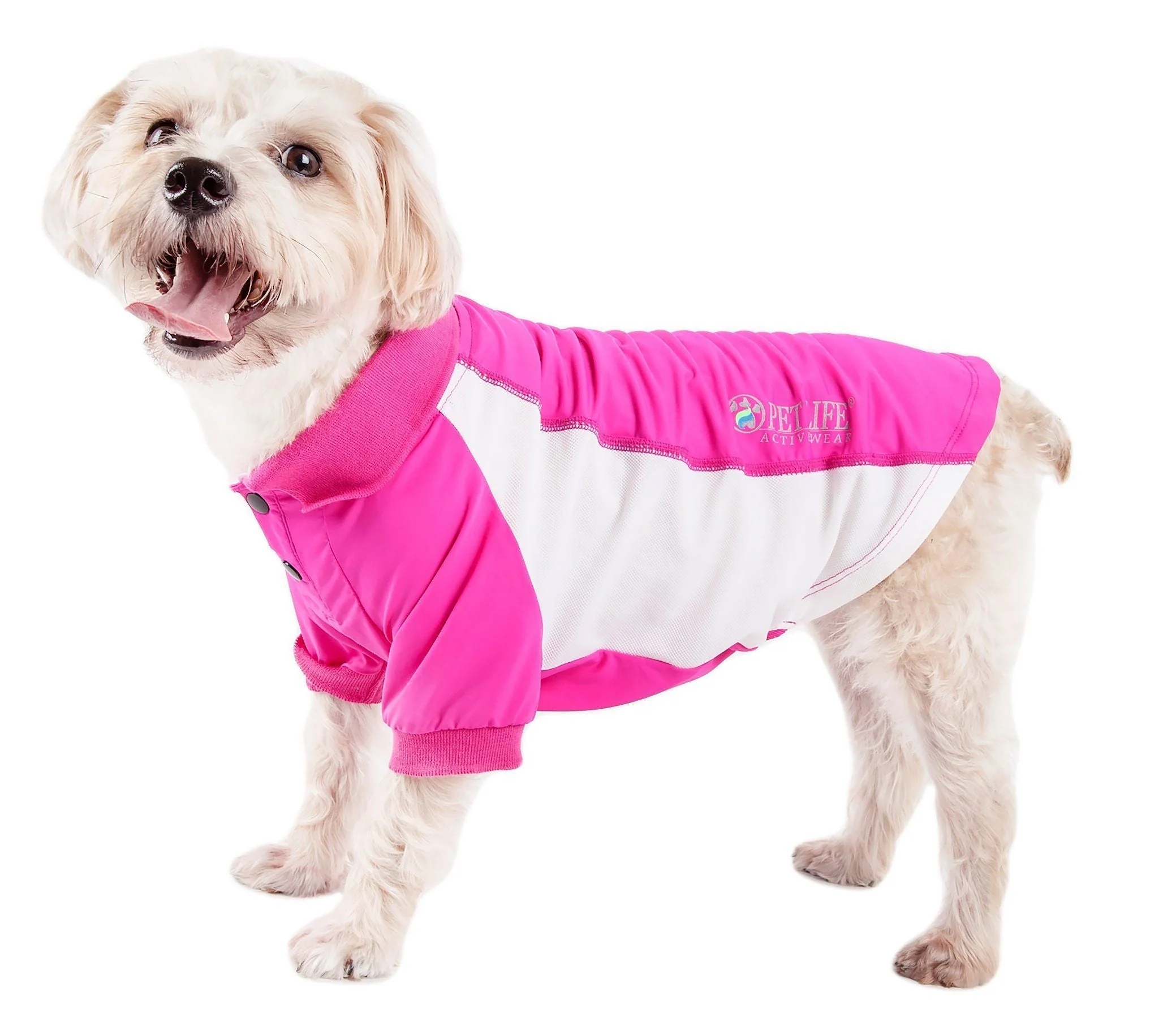 Pet Life ® Active 'Barko Pawlo' Relax-Stretch Quick-Drying Performance Dog Polo T-Shirt - Image 3