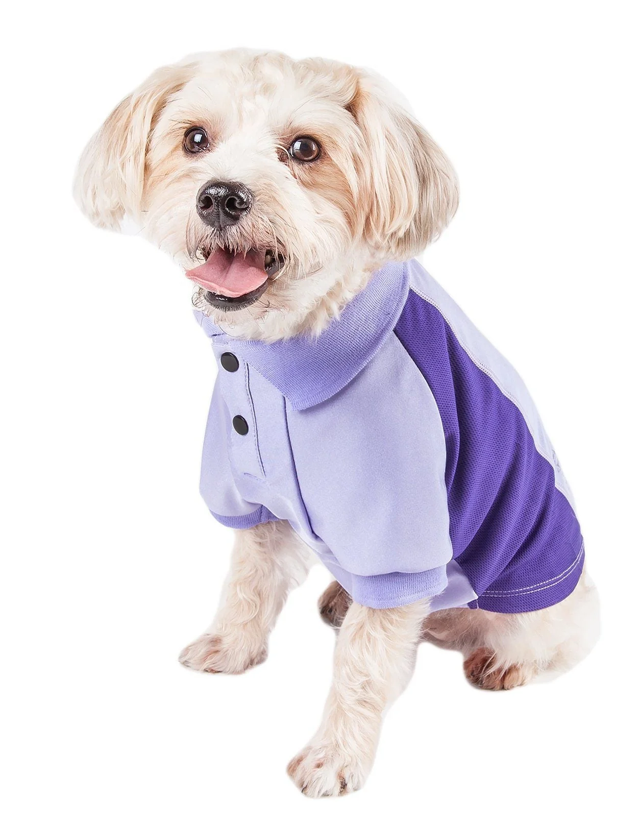 Pet Life ® Active 'Barko Pawlo' Relax-Stretch Quick-Drying Performance Dog Polo T-Shirt - Image 30