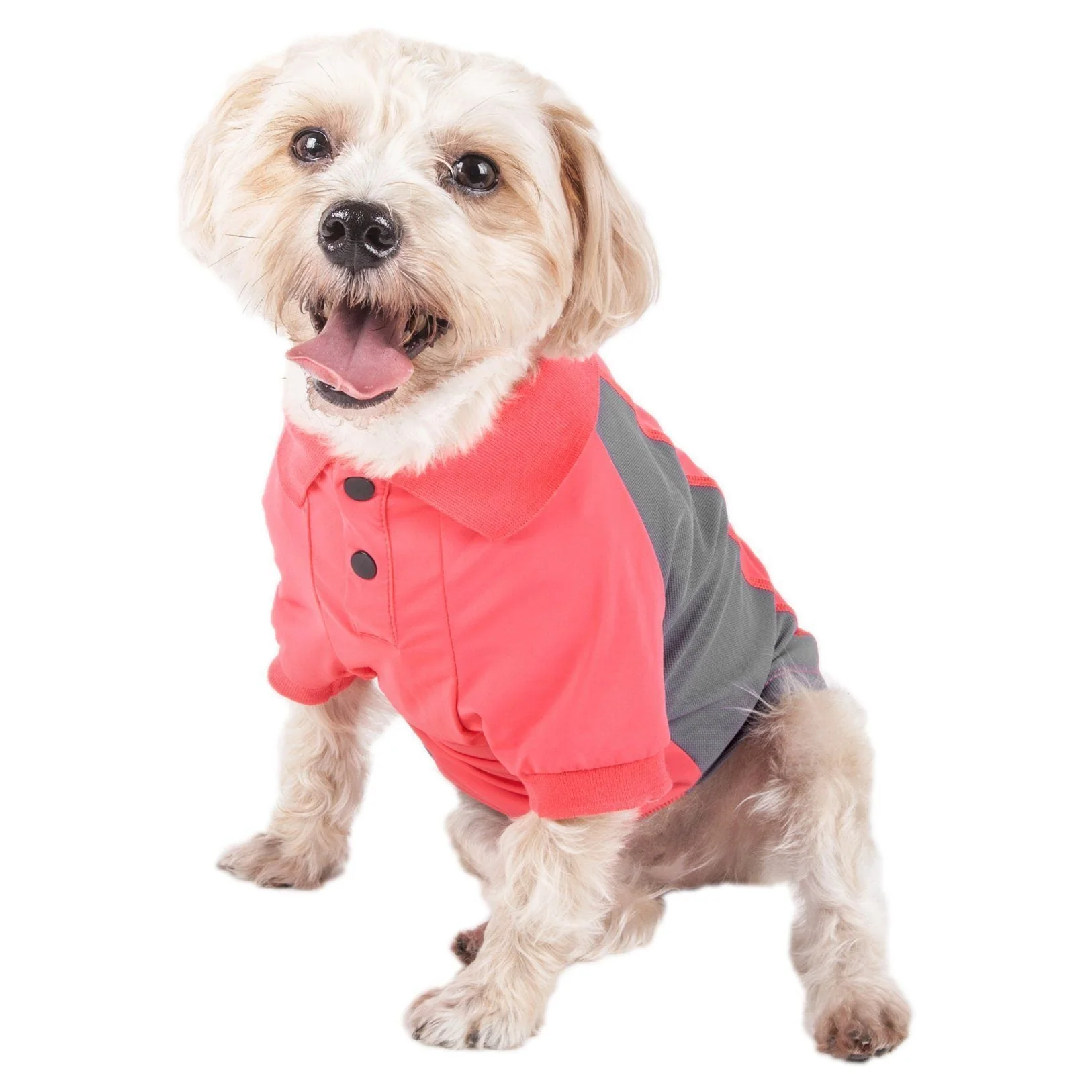 Pet Life ® Active 'Barko Pawlo' Relax-Stretch Quick-Drying Performance Dog Polo T-Shirt - Image 31