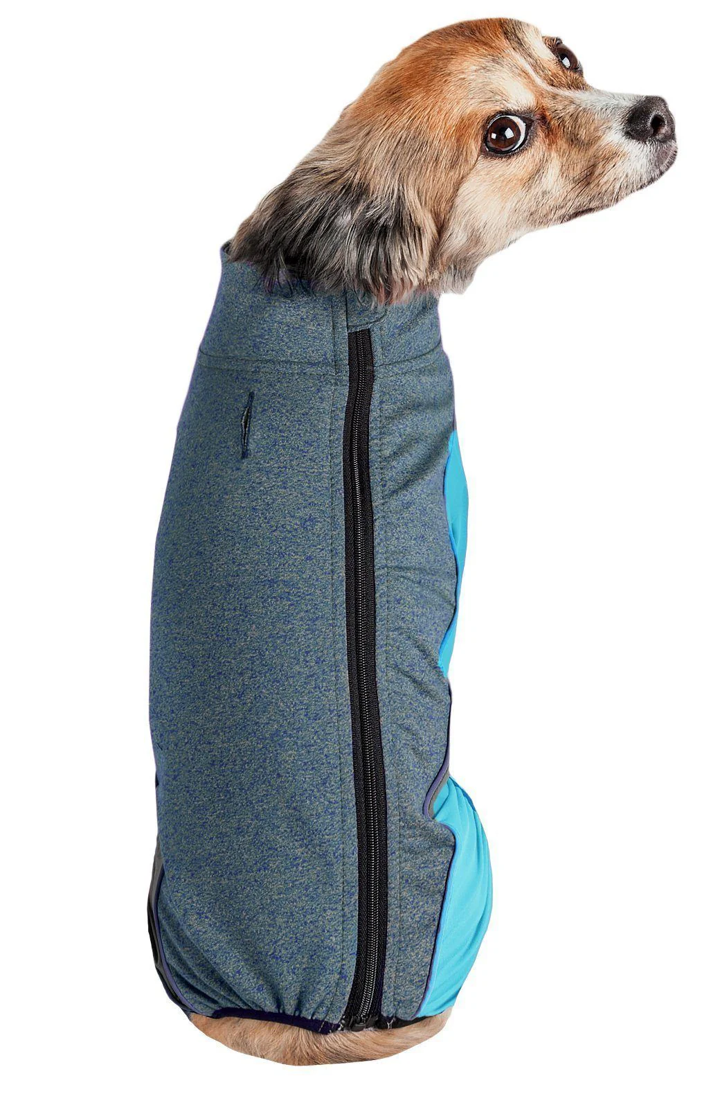 Pet Life ® Active 'Chase Pacer' Medium-weight 4-Way-Stretch Yoga Fitness Dog Tracksuit - Image 17