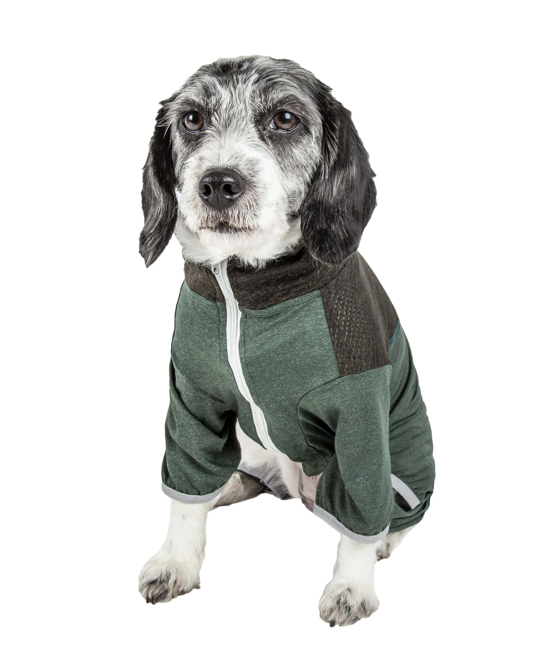 Pet Life ®  Active 'Embarker' 4-Way Stretch Fitness Yoga Full Body Dog Tracksuit - Image 19