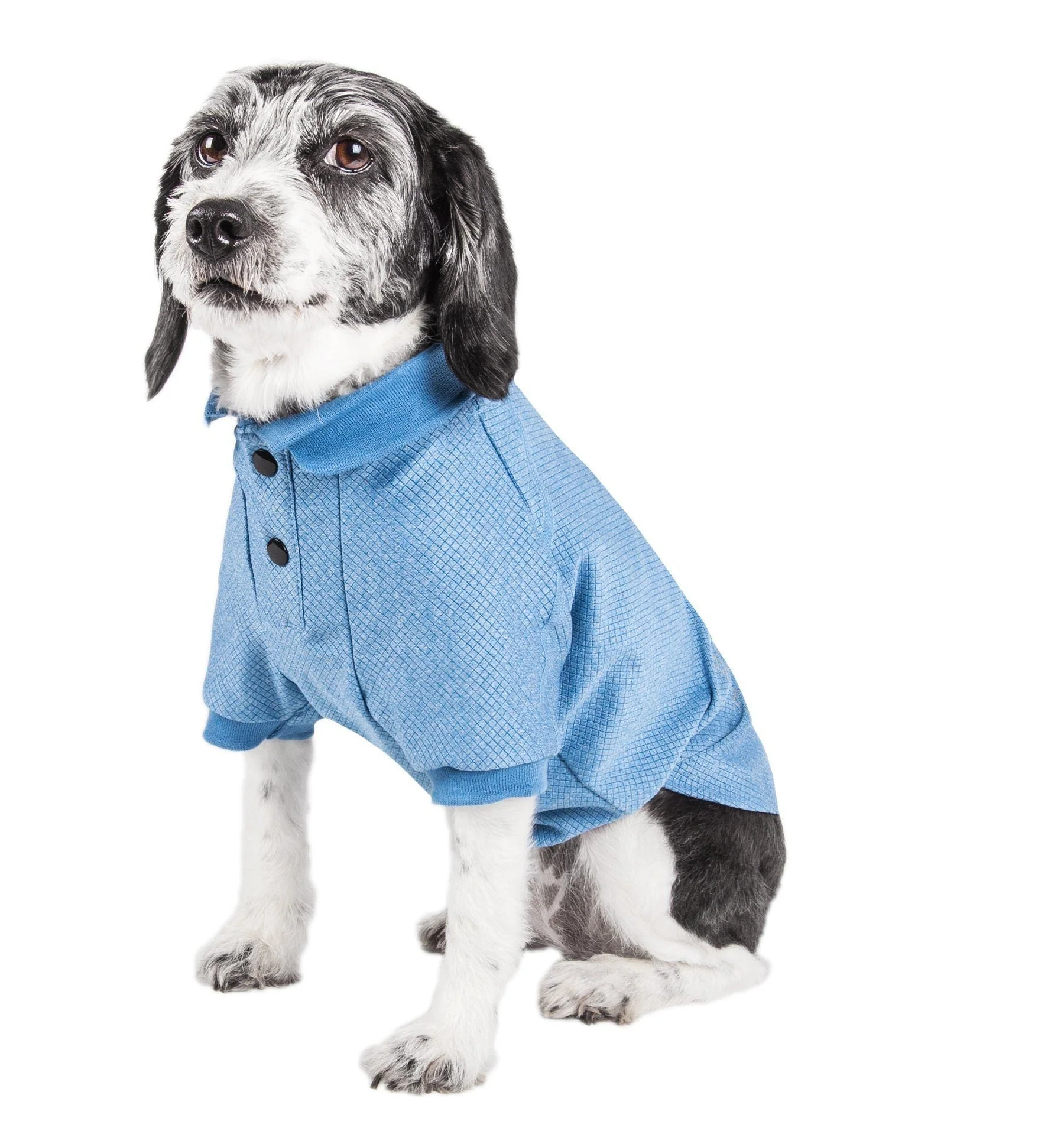 Pet Life ® Active 'Fur-Flex' Stretch and Quick-Dry Anti-Odor Fitness Yoga Dog Polo T-Shirt - Image 16