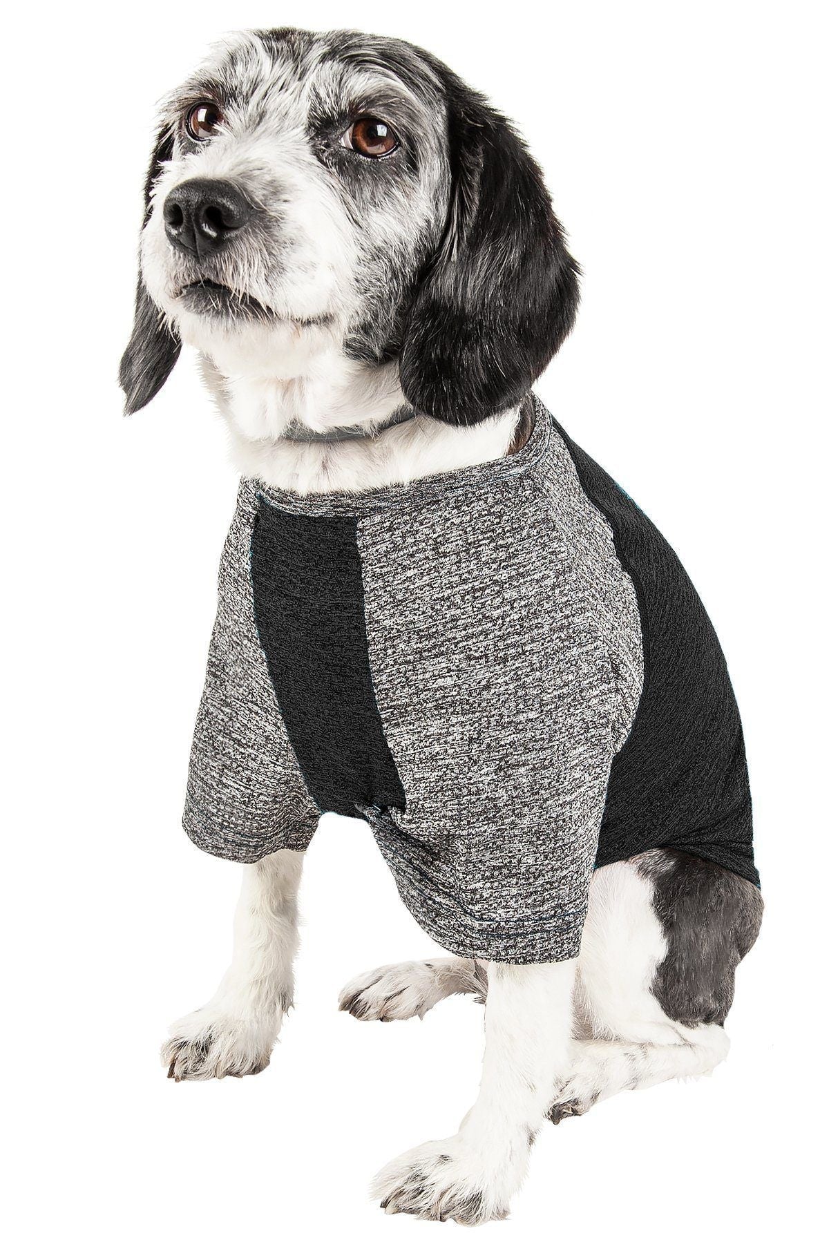 Pet Life ® Active 'Hybreed' 4-Way-Stretch Fitness Performance Dog T-Shirt - Image 14