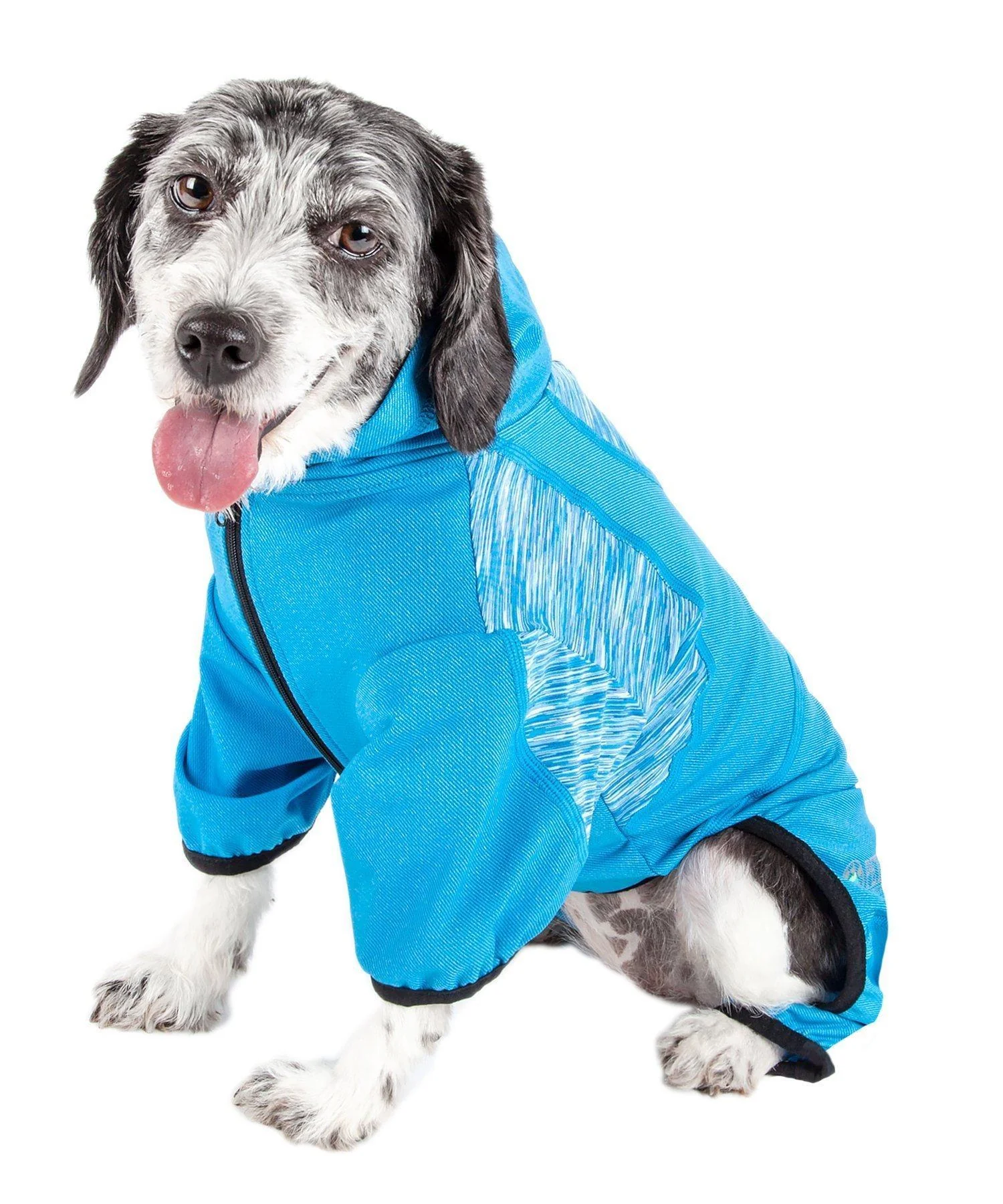 Pet Life ® Active 'Pawsterity' Mediumweight 4-Way-Stretch Yoga Fitness Dog Tracksuit Hoodie - Image 22