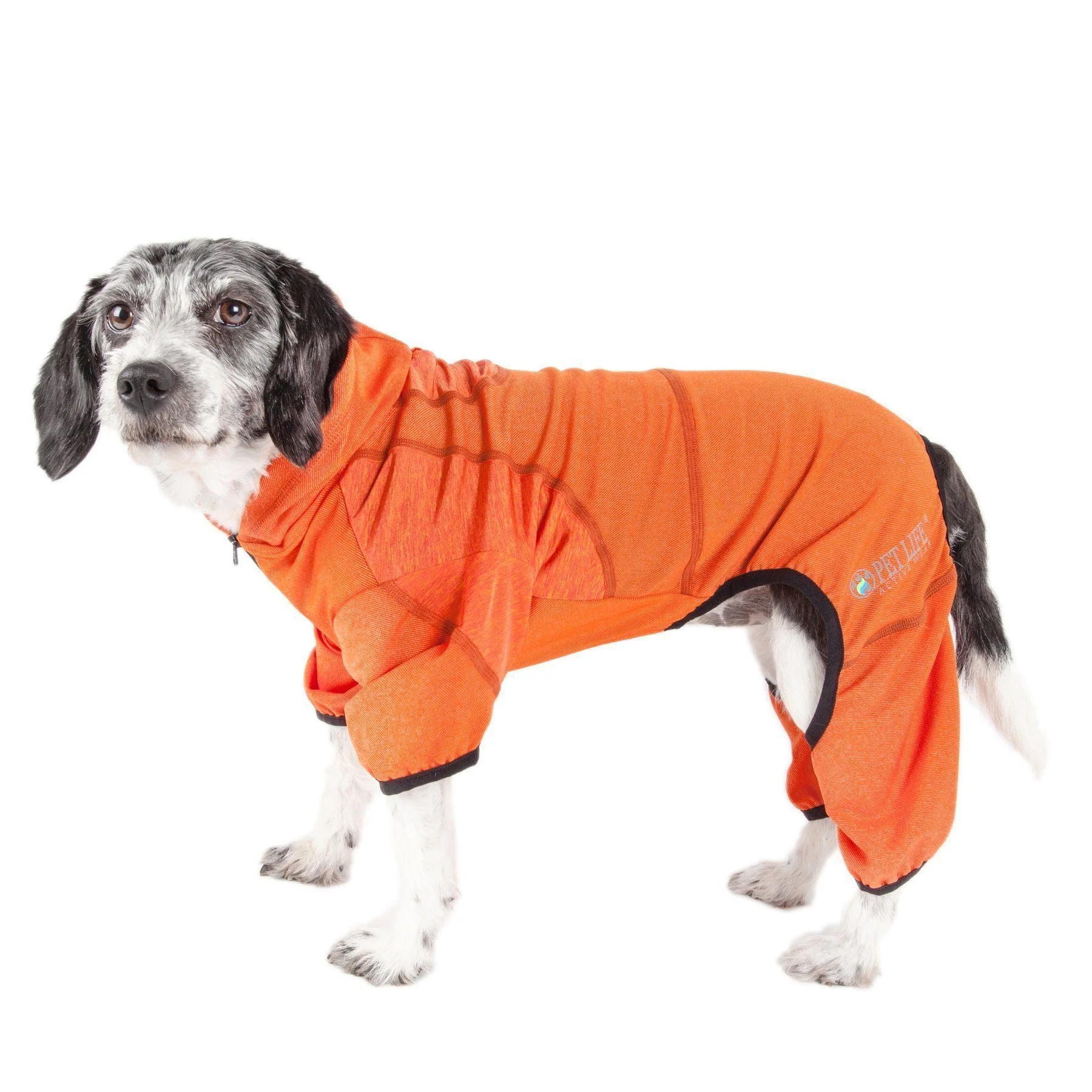 Pet Life ® Active 'Pawsterity' Mediumweight 4-Way-Stretch Yoga Fitness Dog Tracksuit Hoodie - Image 3