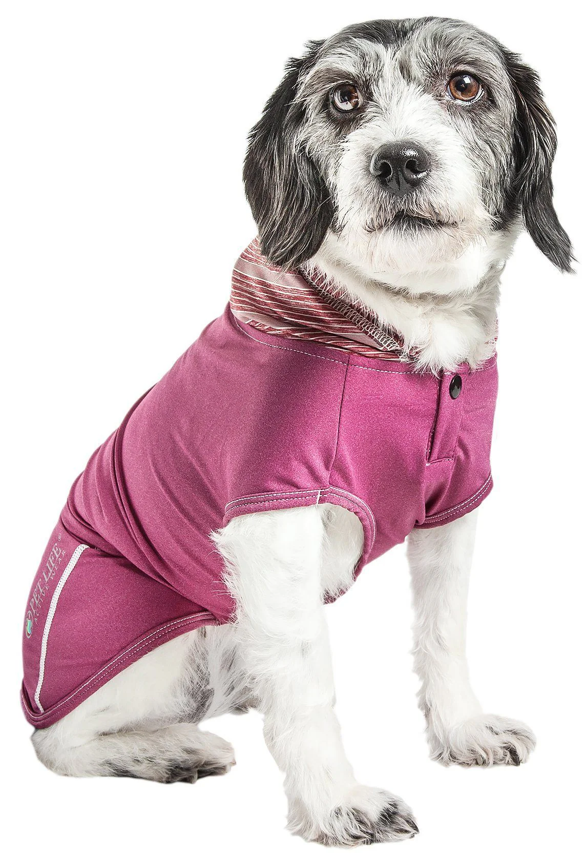 Pet Life ® Active 'Pull-Rover' 4-Way Stretch Sleeveless Fitness Yoga Dog T-Shirt Hoodie - Image 14