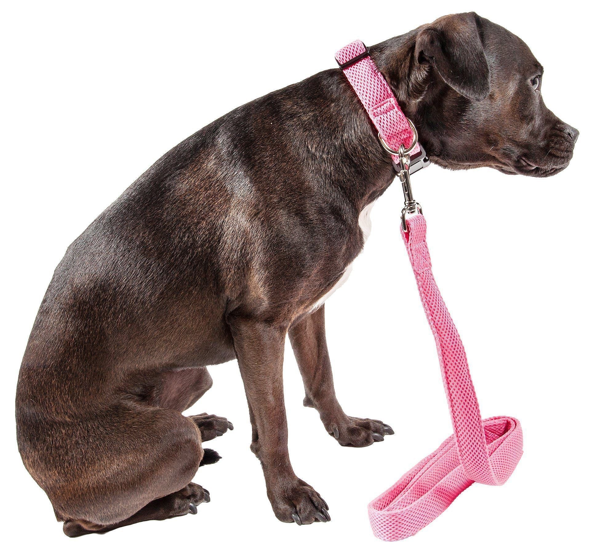 Pet Life ® 'Aero Mesh' 2-In-1 Breathable and Adjustable Dual-Sided Mesh Dog Leash and Collar - Image 2