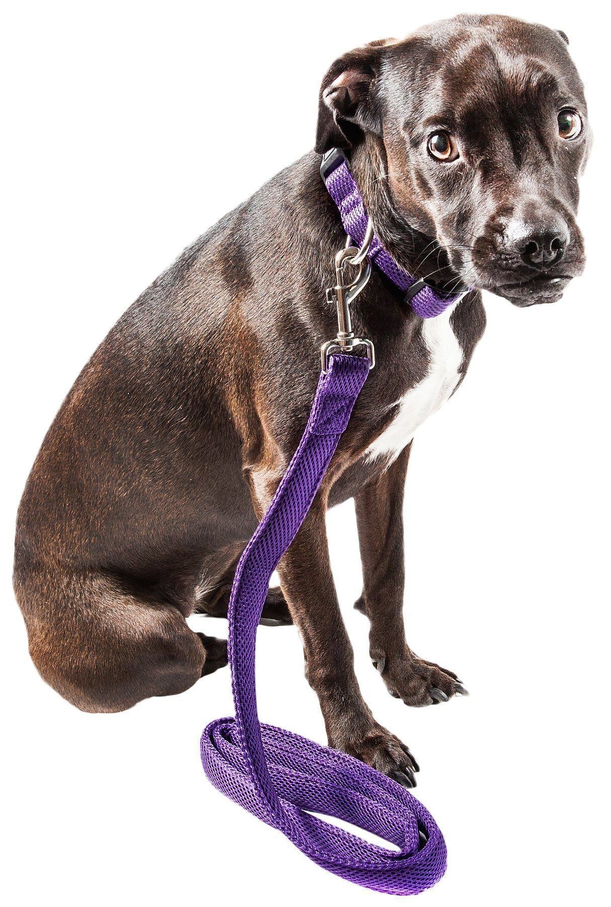 Pet Life ® 'Aero Mesh' 2-In-1 Breathable and Adjustable Dual-Sided Mesh Dog Leash and Collar - Image 3