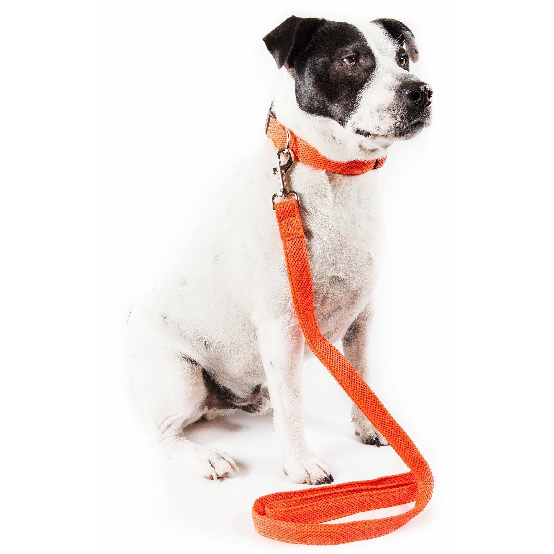 Pet Life ® 'Aero Mesh' 2-In-1 Breathable and Adjustable Dual-Sided Mesh Dog Leash and Collar - Image 4