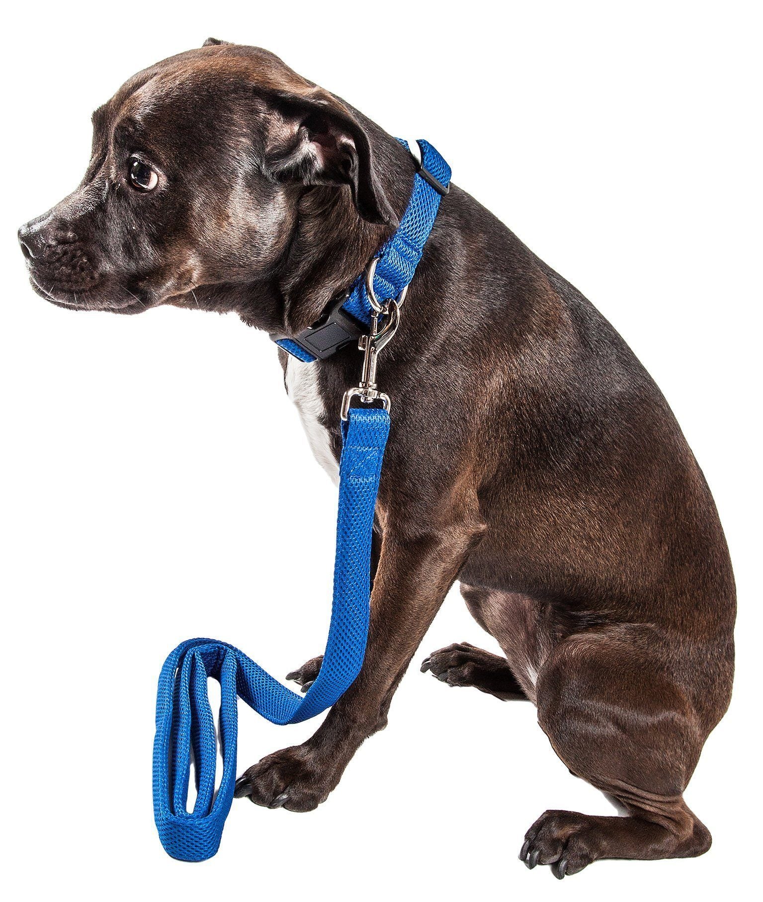 Pet Life ® 'Aero Mesh' 2-In-1 Breathable and Adjustable Dual-Sided Mesh Dog Leash and Collar - Image 5