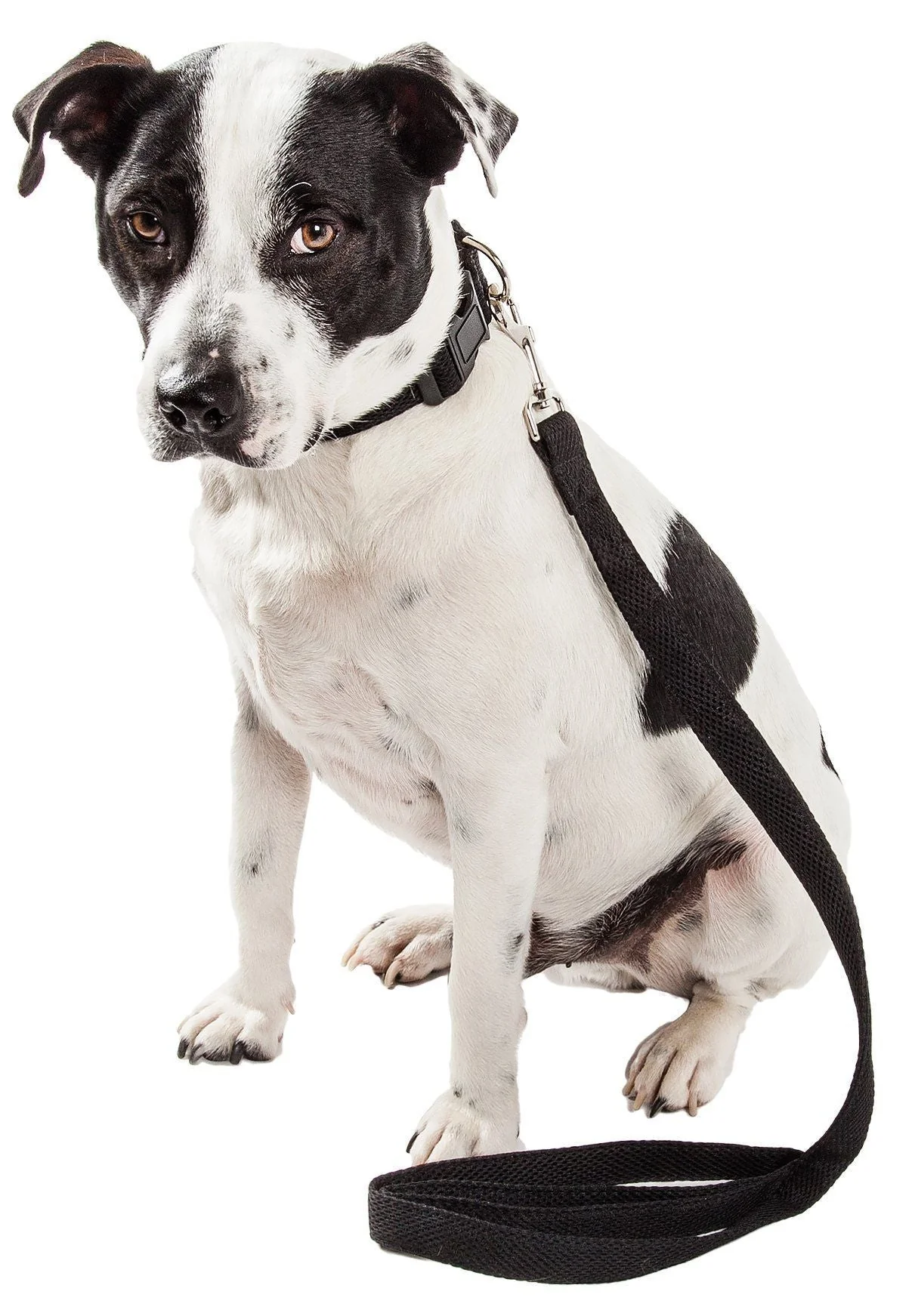 Pet Life ® 'Aero Mesh' 2-In-1 Breathable and Adjustable Dual-Sided Mesh Dog Leash and Collar - Image 6