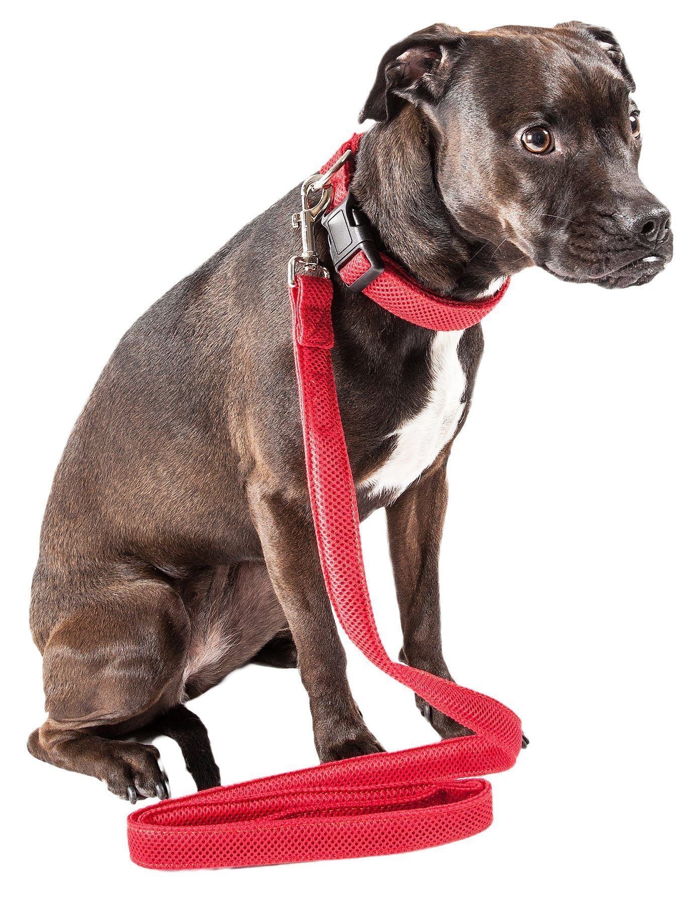 Pet Life ®  'Aero Mesh' Breathable and Adjustable Dual Sided Thick Mesh Dog Leash - Image 14