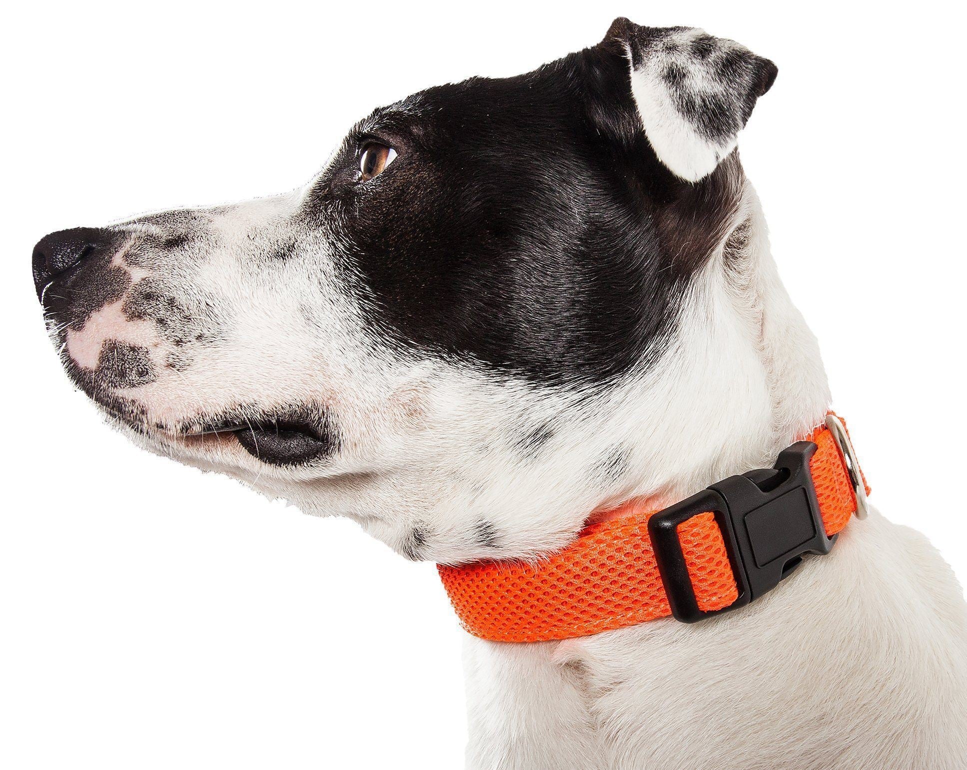 Pet Life ®  'Aero Mesh' Dual-Sided Breathable and Adjustable Thick Mesh Dog Collar - Image 13