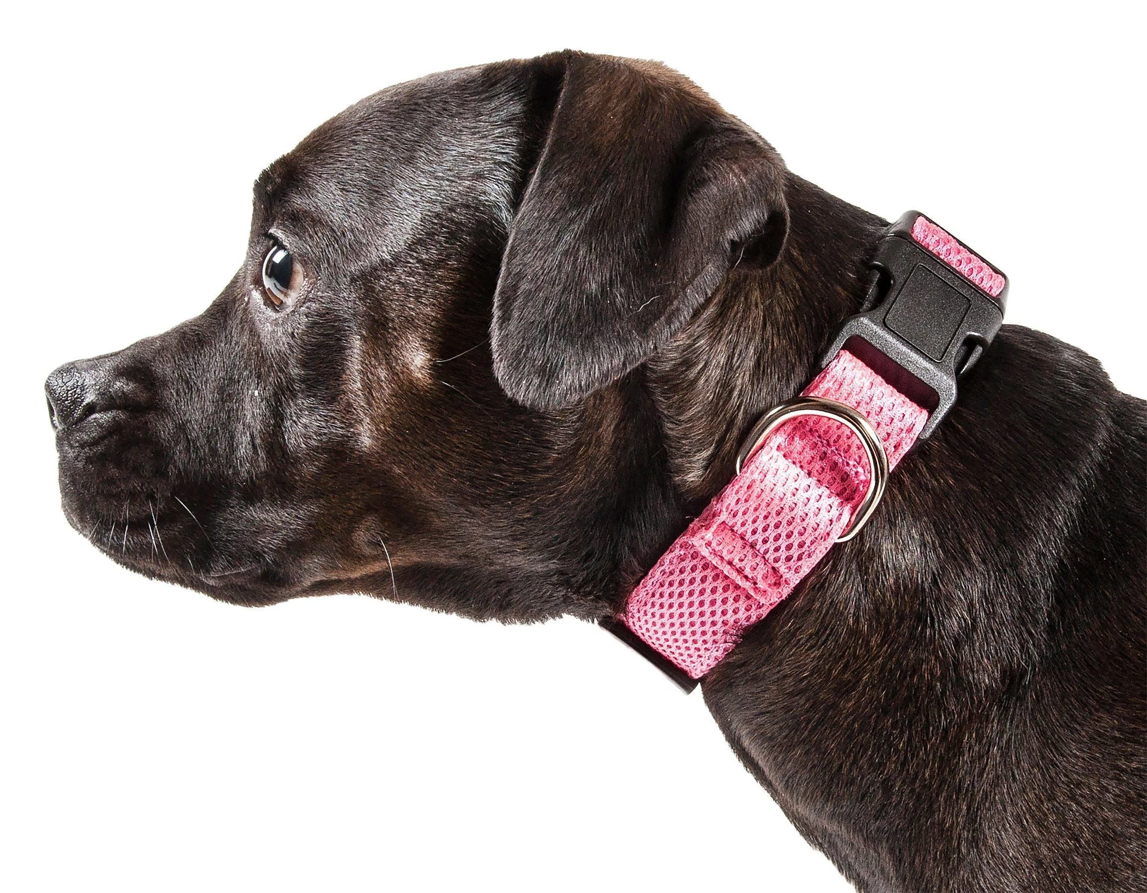 Pet Life ®  'Aero Mesh' Dual-Sided Breathable and Adjustable Thick Mesh Dog Collar - Image 16