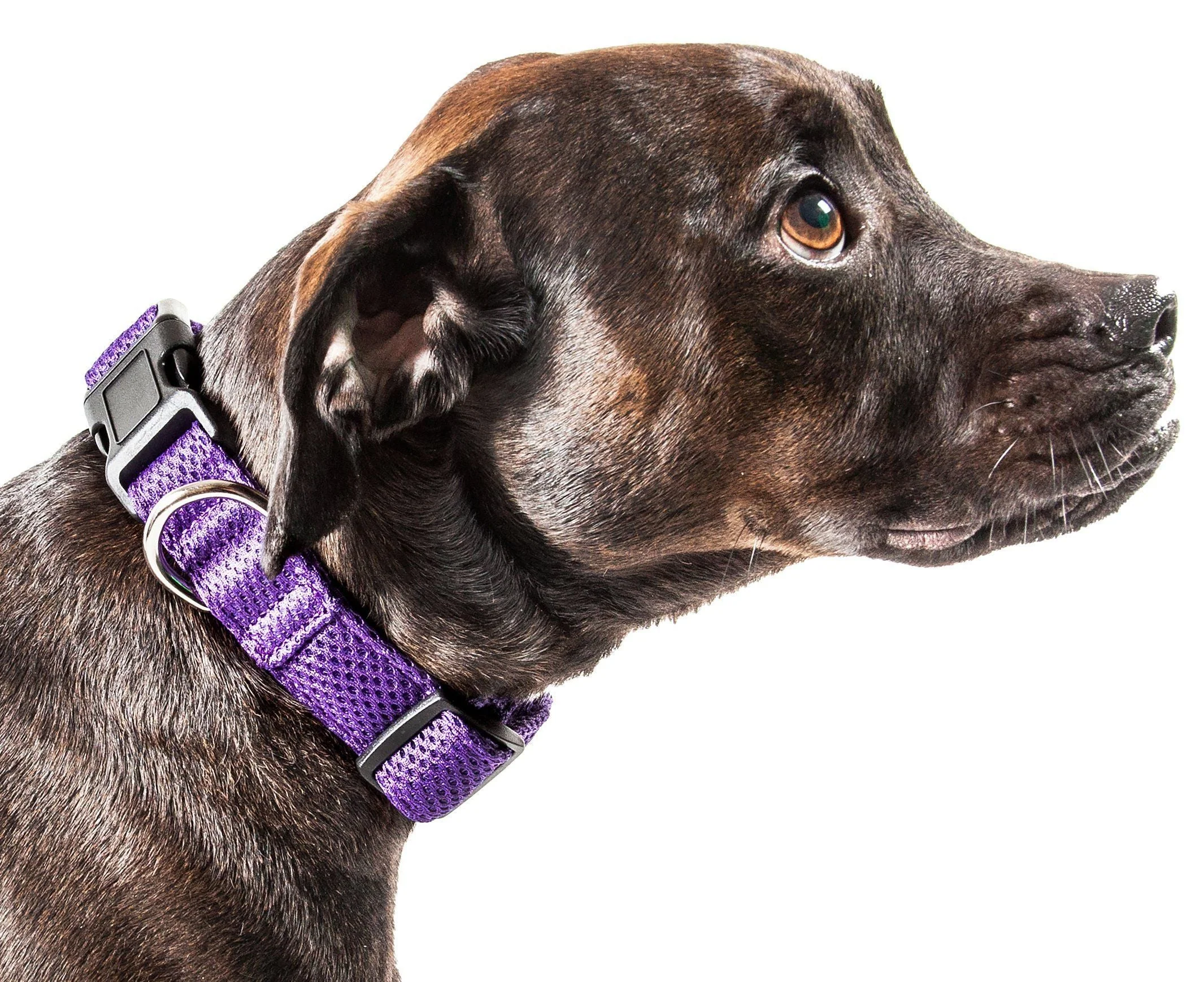Pet Life ®  'Aero Mesh' Dual-Sided Breathable and Adjustable Thick Mesh Dog Collar - Image 19