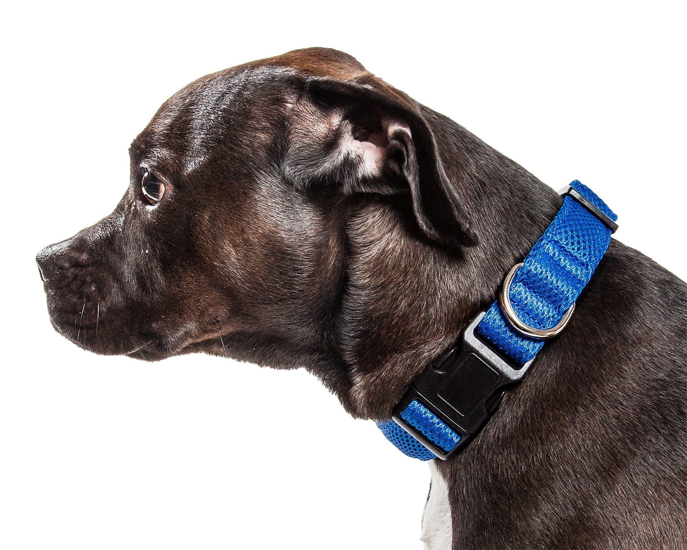 Pet Life ®  'Aero Mesh' Dual-Sided Breathable and Adjustable Thick Mesh Dog Collar - Image 9