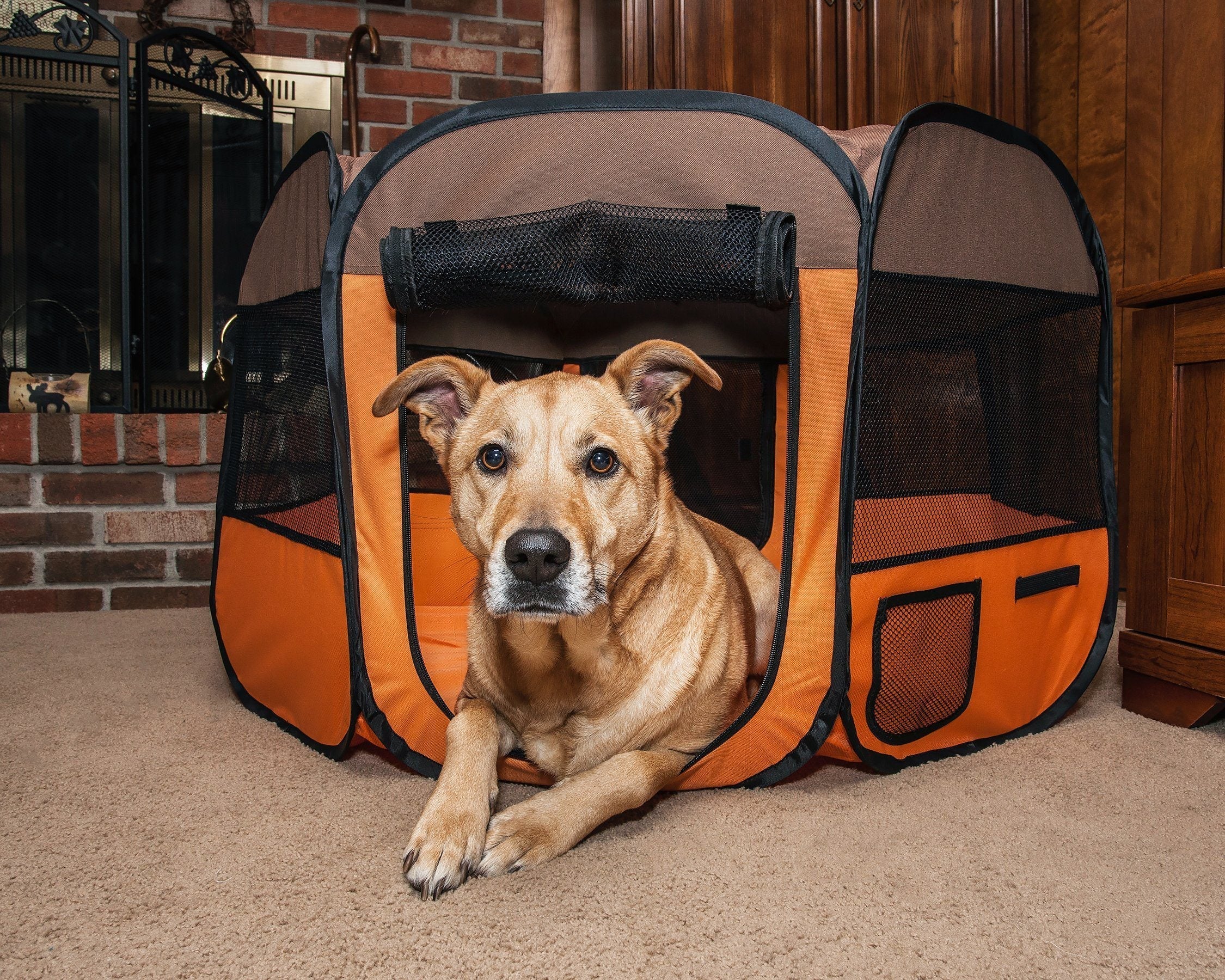 Pet Life ® 'All-Terrain' Lightweight Easy Folding Wire-Framed Collapsible Travel Pet Dog Playpen crate - Image 6