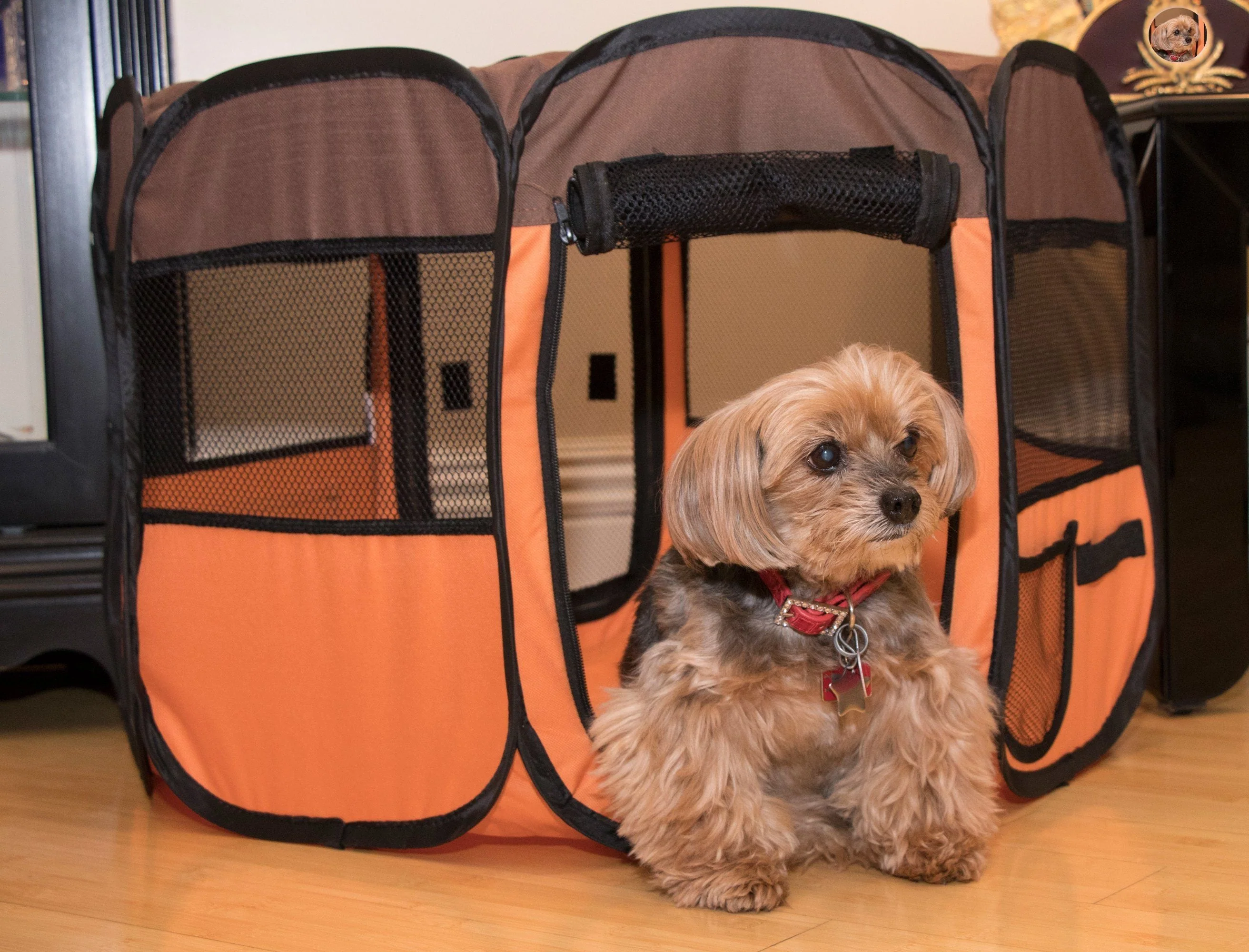 Pet Life ® 'All-Terrain' Lightweight Easy Folding Wire-Framed Collapsible Travel Pet Dog Playpen crate - Image 7