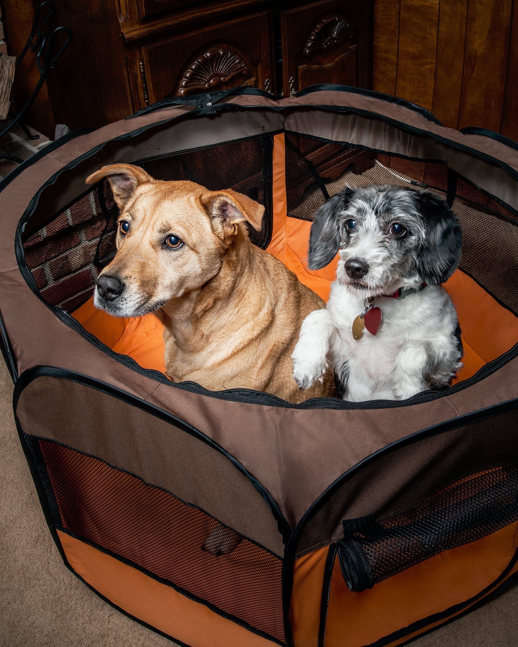 Pet Life ® 'All-Terrain' Lightweight Easy Folding Wire-Framed Collapsible Travel Pet Dog Playpen crate - Image 8