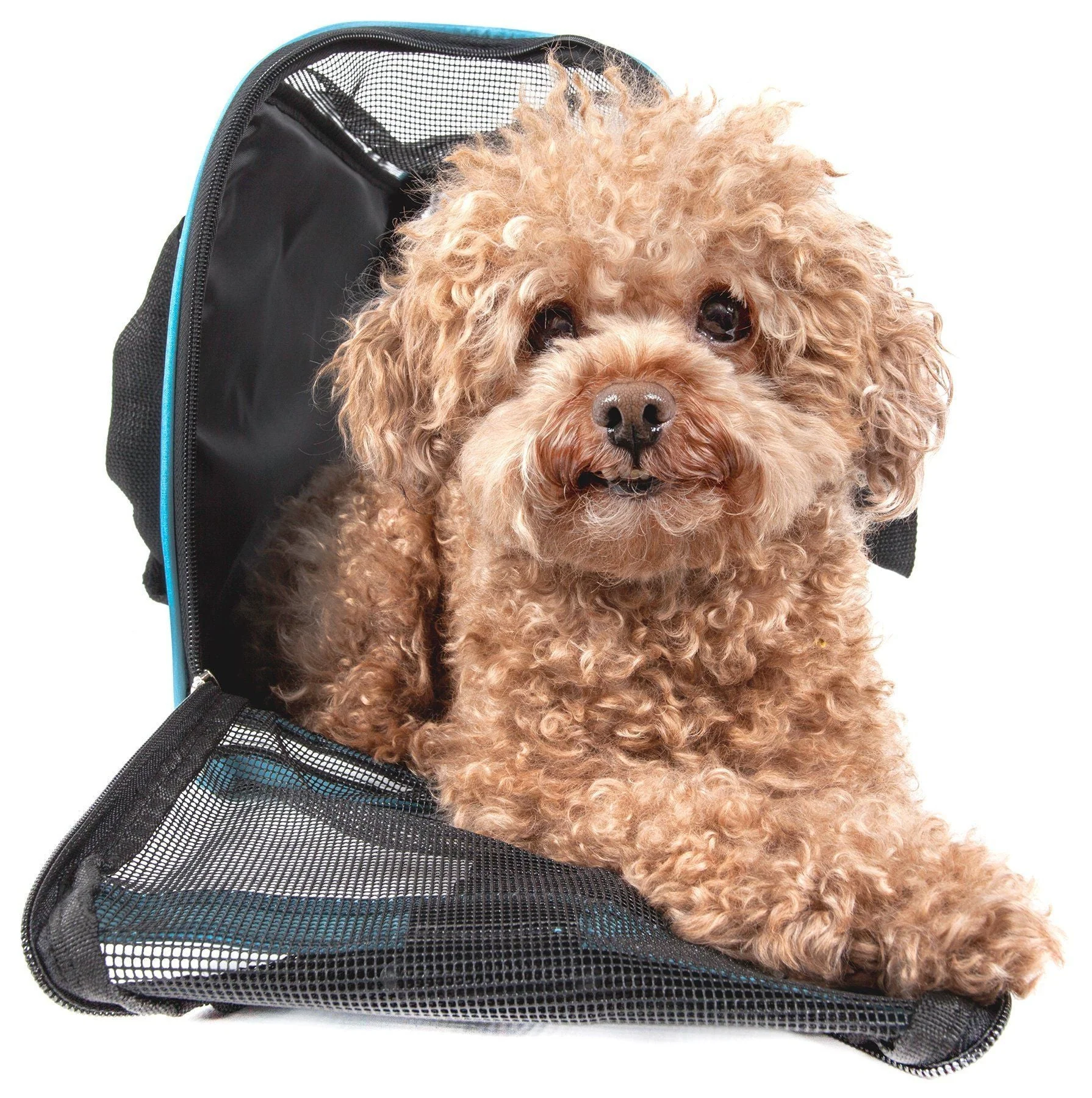 Pet Life ® 'Altitude Force' Airline Approved Sporty Zippered Folding Fashion Pet Dog Carrier - Image 3