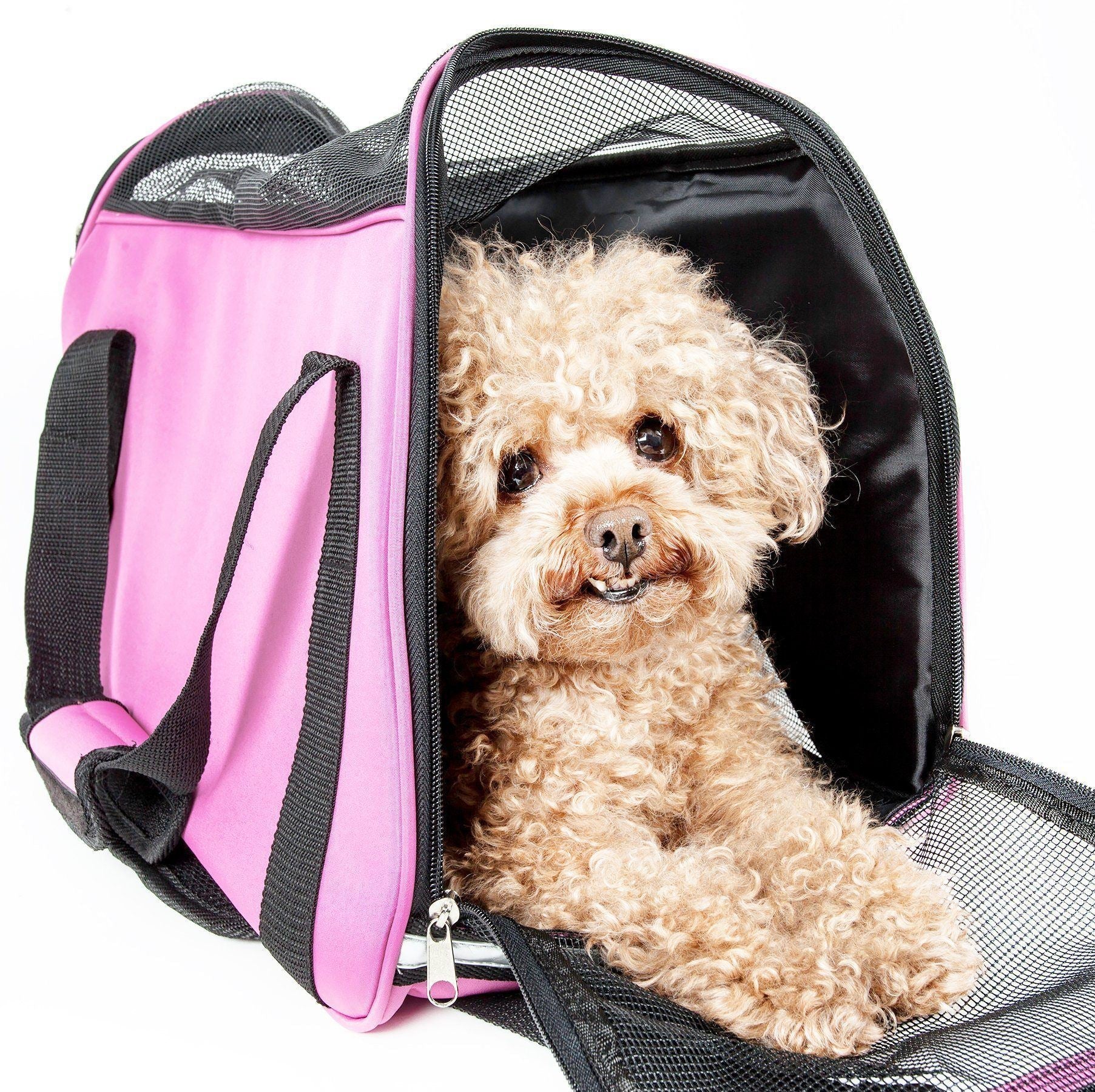 Pet Life ® 'Altitude Force' Airline Approved Sporty Zippered Folding Fashion Pet Dog Carrier - Image 4