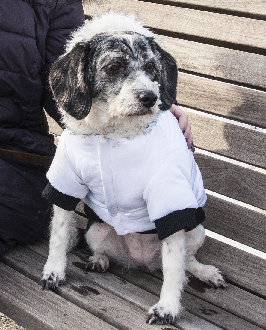 Pet Life ® Aspen Winter-White 3M Insulated Fashion Pet Parka Dog Coat - Image 7